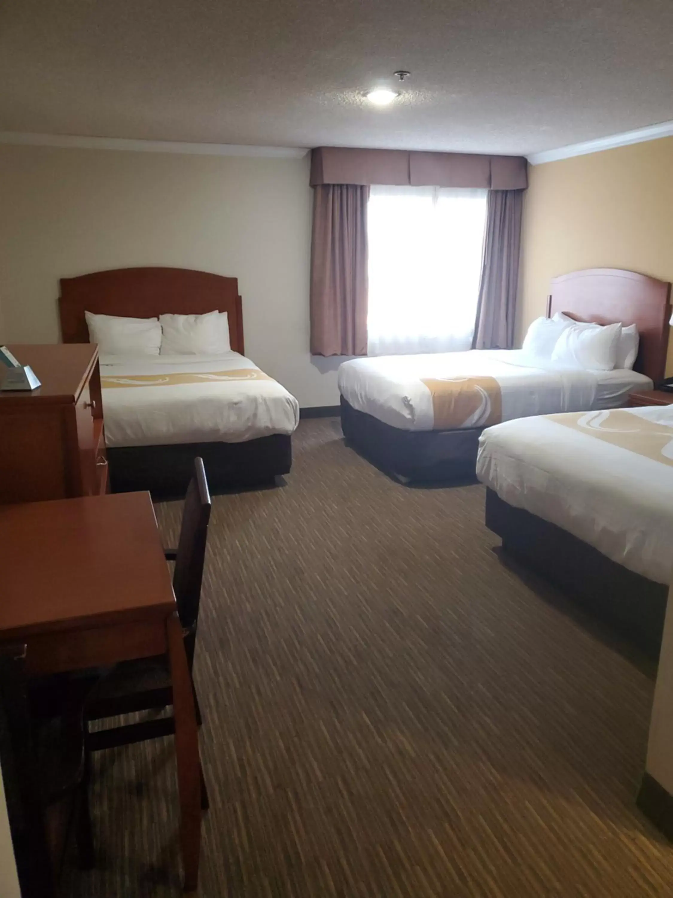 Bedroom, Bed in Quality Inn & Suites Los Angeles Airport - LAX