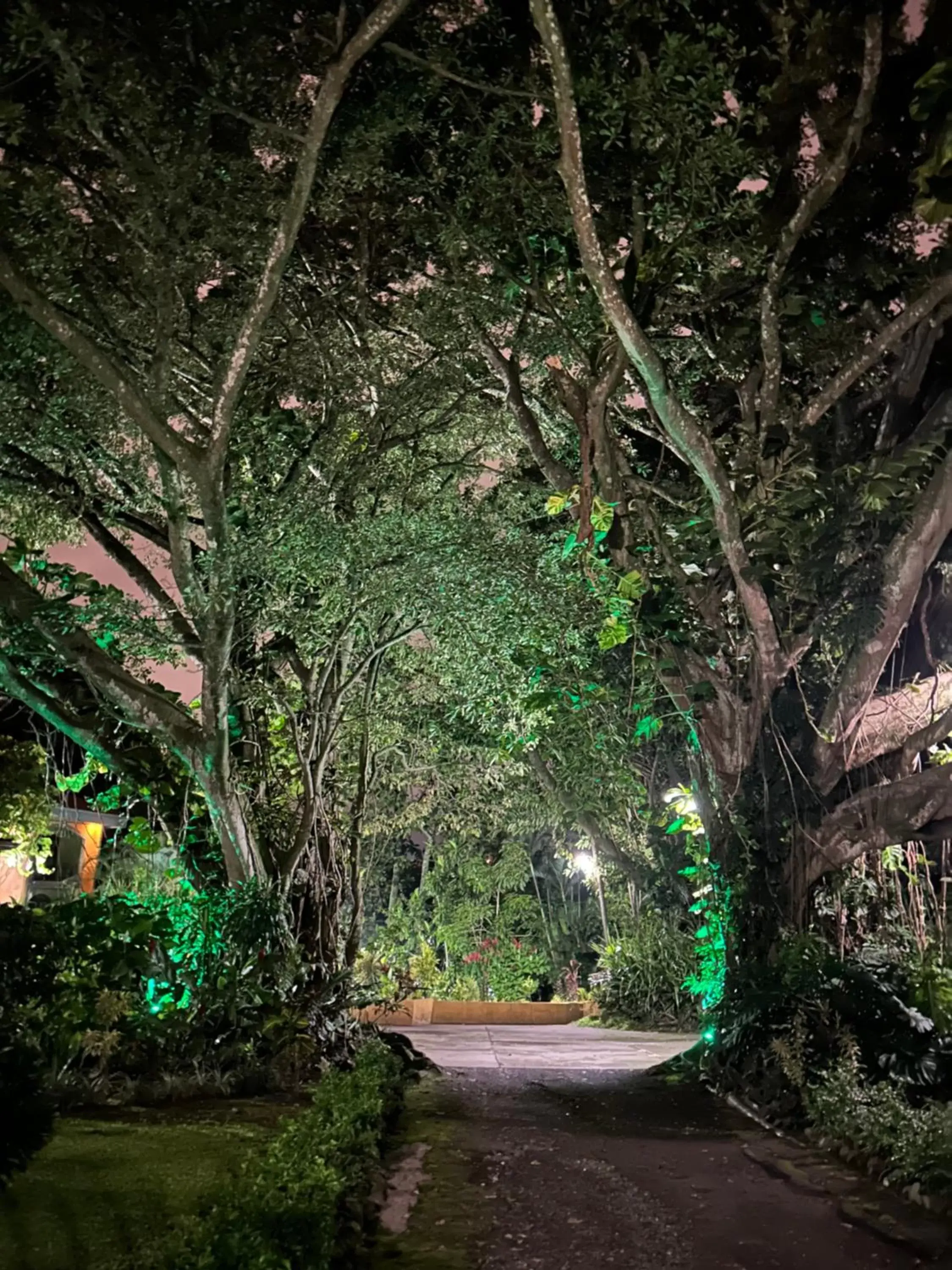 Night, Garden in Trapp Family Country Inn