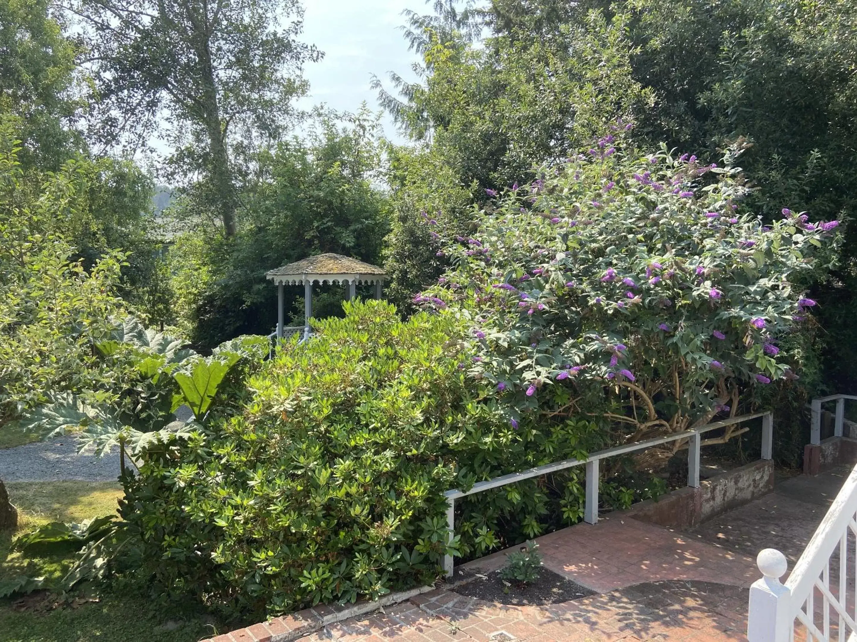 Garden in Shaw House Inn