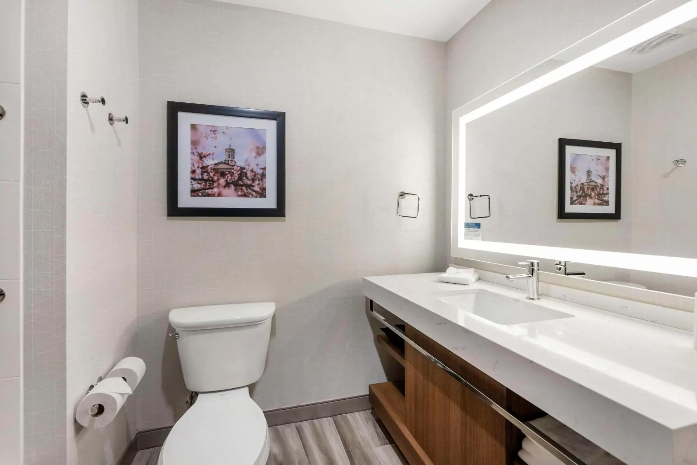 Bedroom, Bathroom in Comfort Inn & Suites Gallatin - Nashville Metro