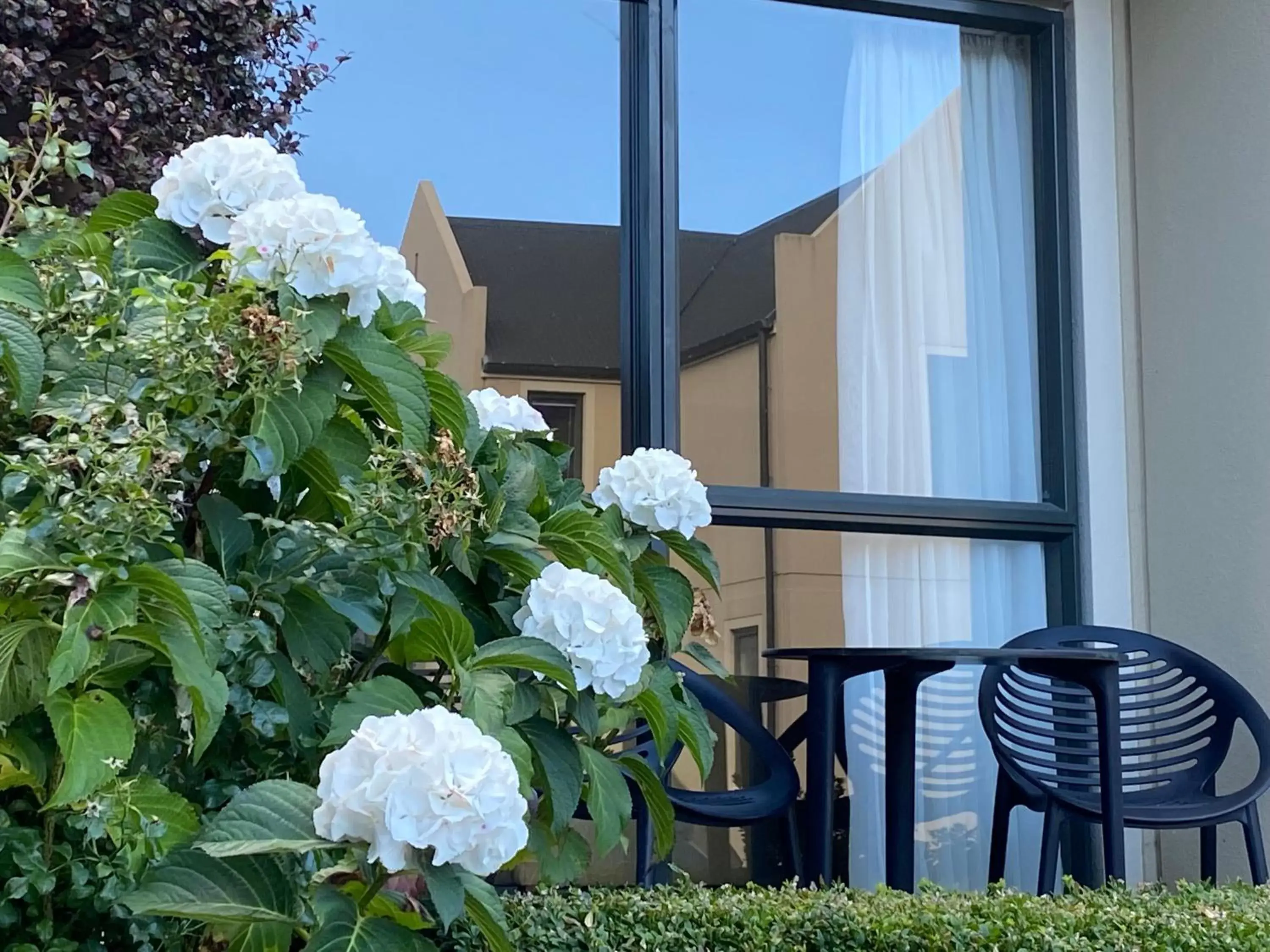 Balcony/Terrace in Motel On York