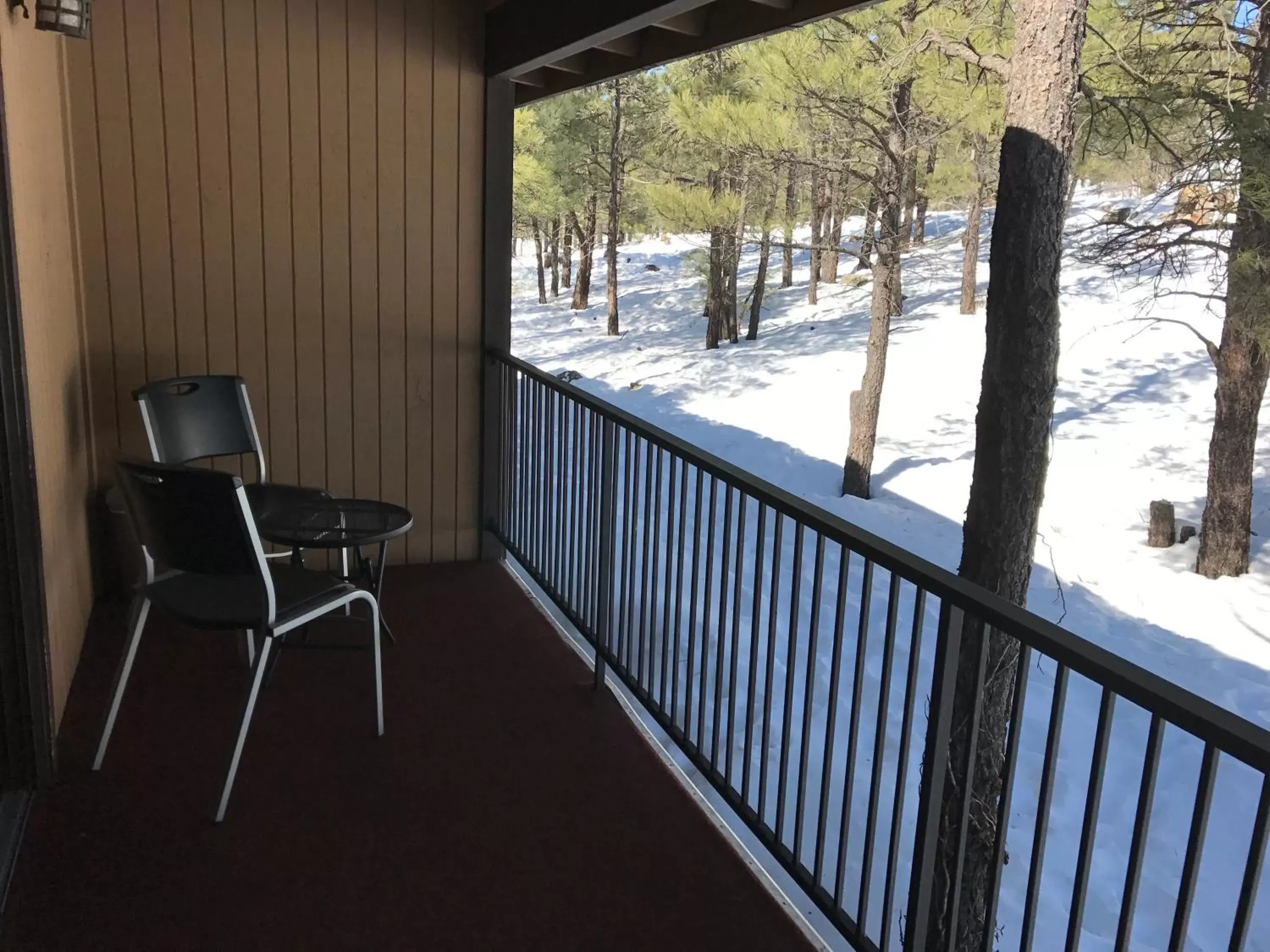 Natural landscape, Balcony/Terrace in Motel In The Pines