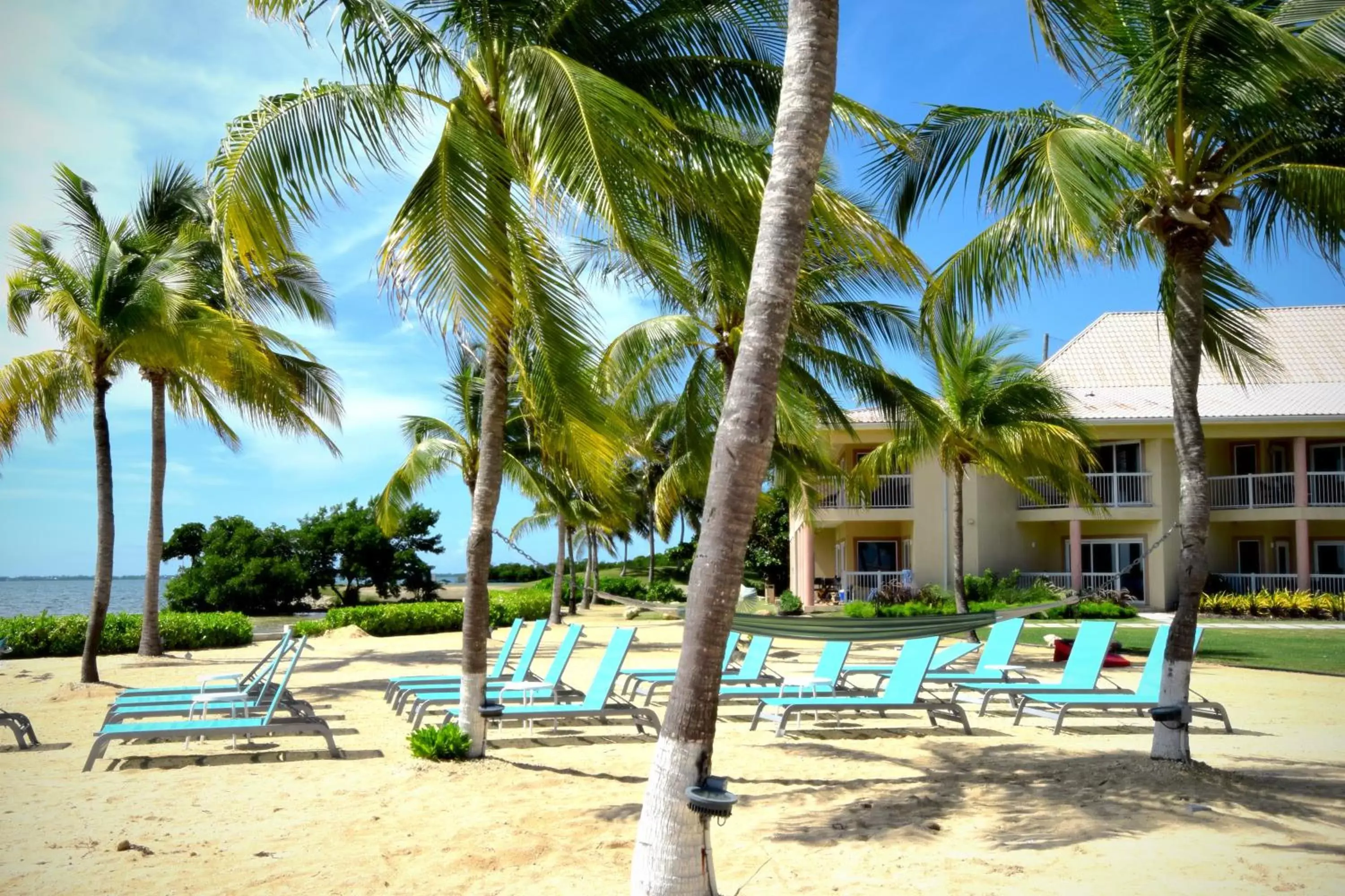 Beach, Swimming Pool in Holiday Inn Resort Grand Cayman, an IHG Hotel