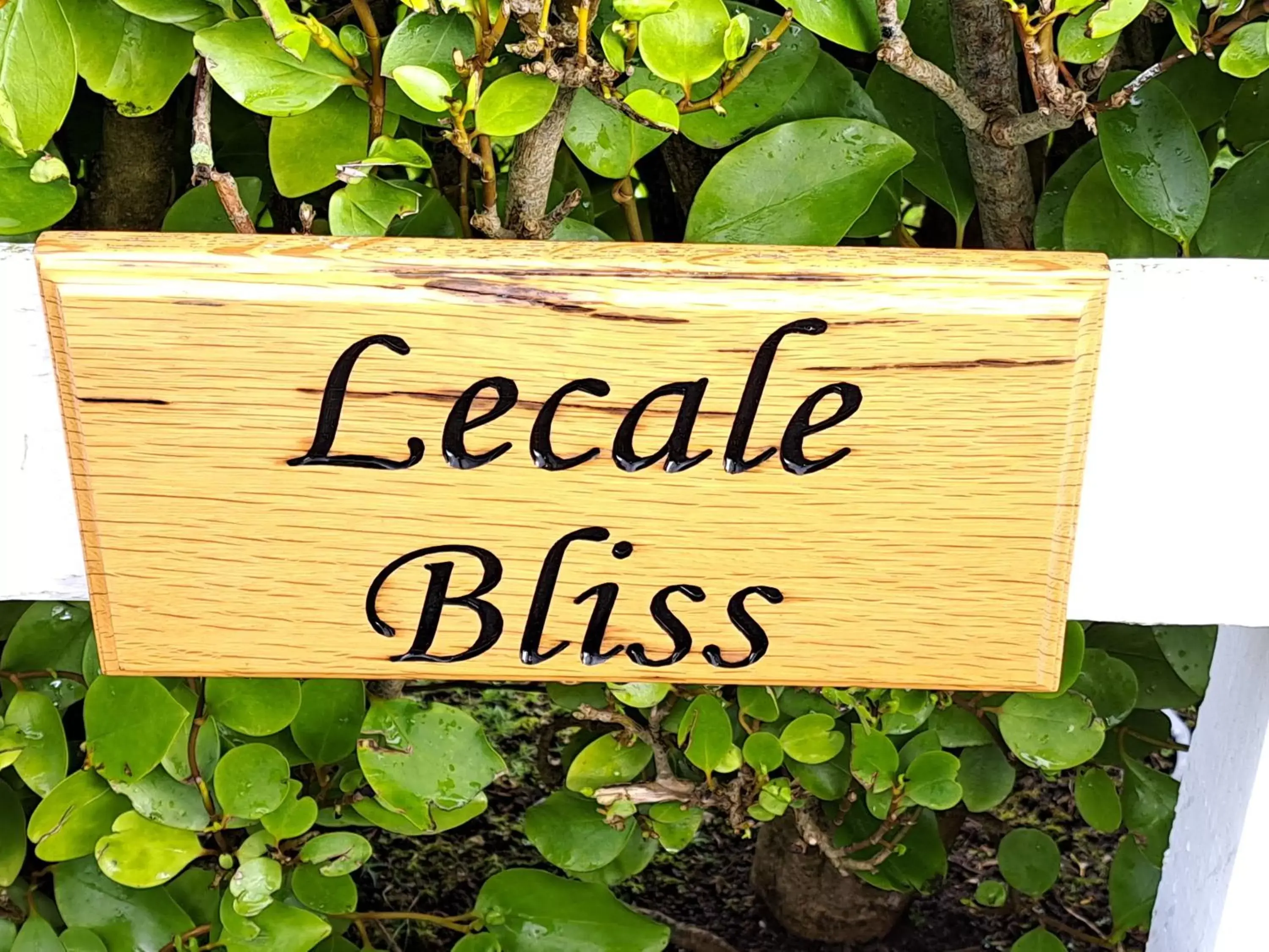 Lecale Bliss