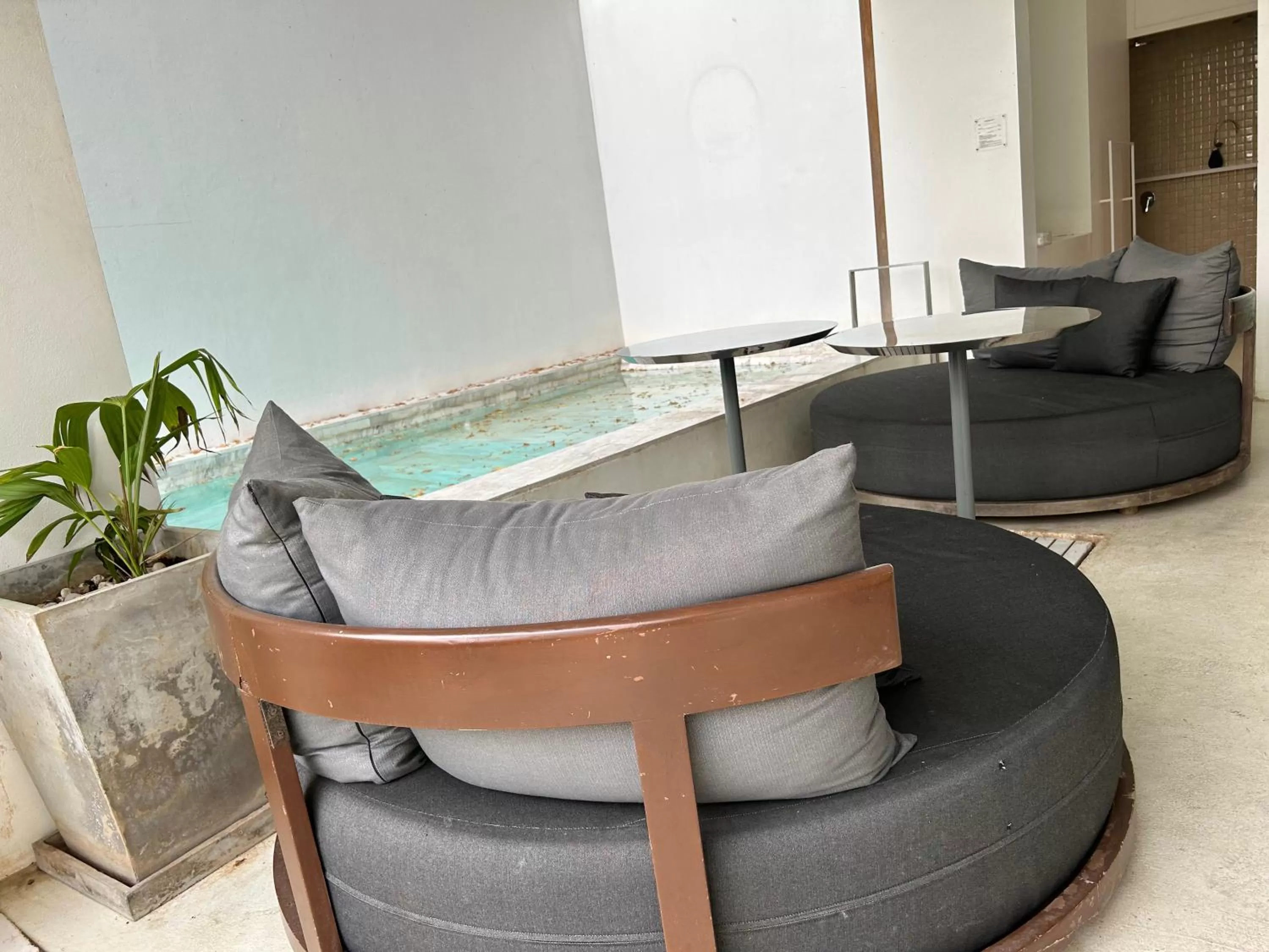 Restaurant/places to eat in Little Shelter Hotel Chiangmai