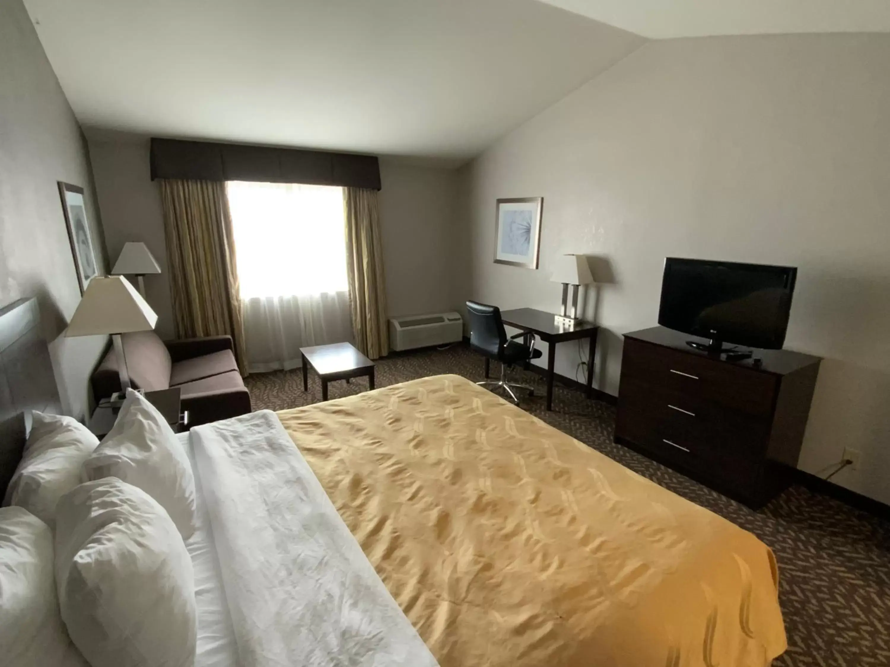 Bed in Quality Inn & Suites University/Airport