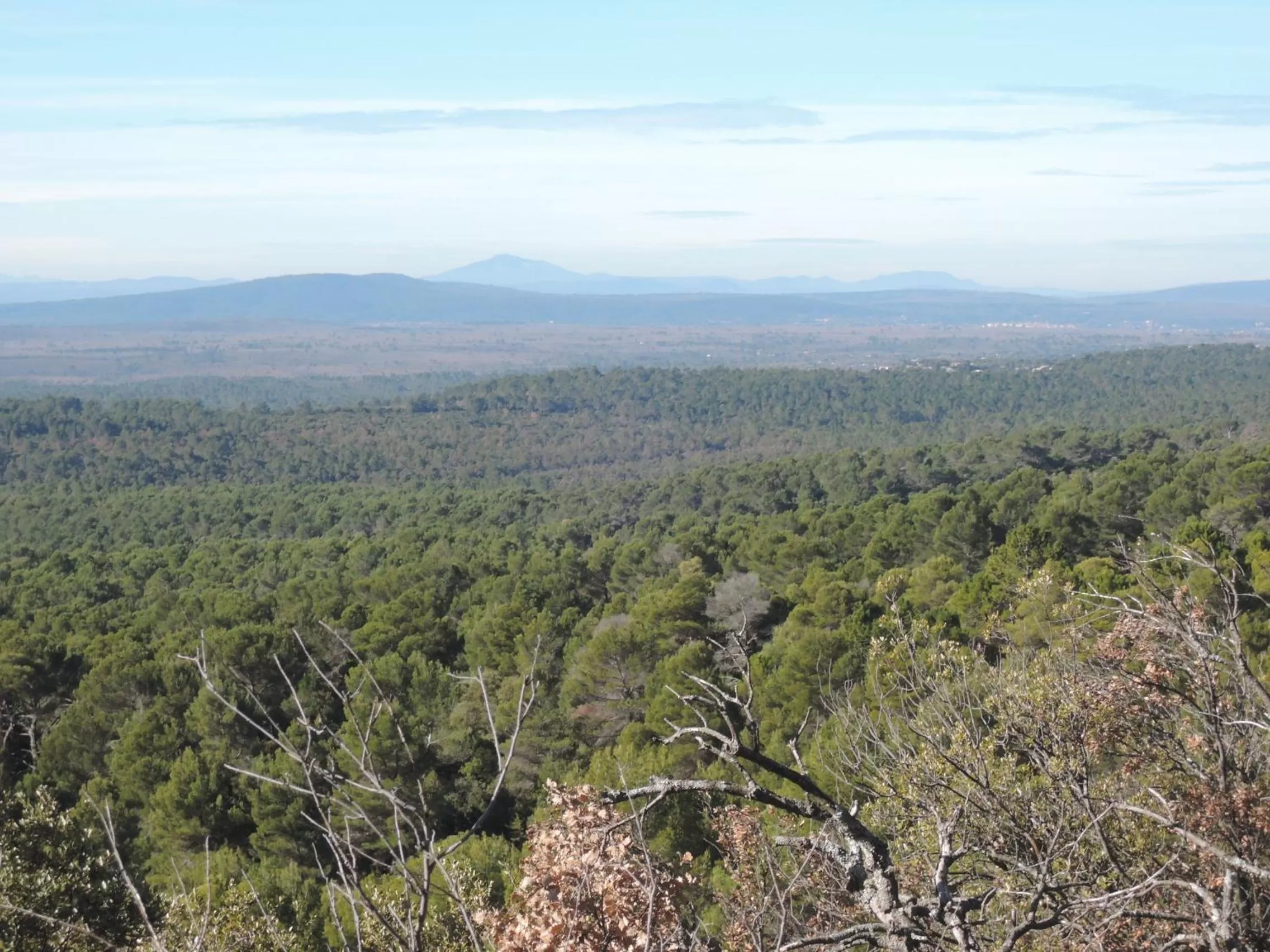 Natural landscape in Le Petit Paradis - La Provençale