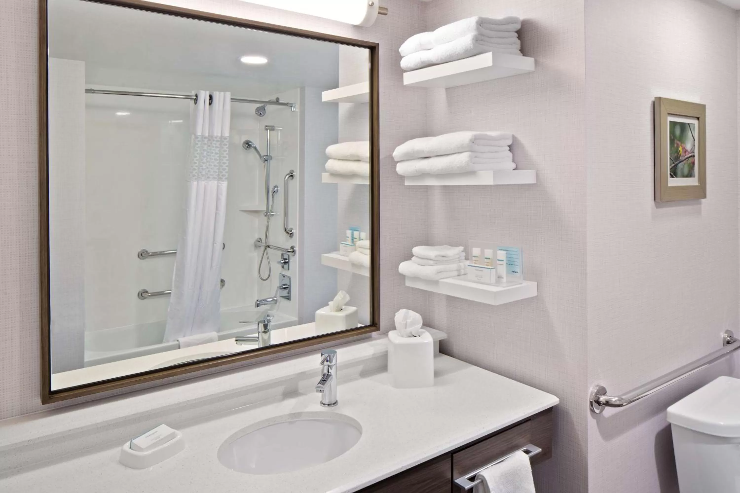 Bathroom in Hampton Inn & Suites- Seattle Woodinville Wa