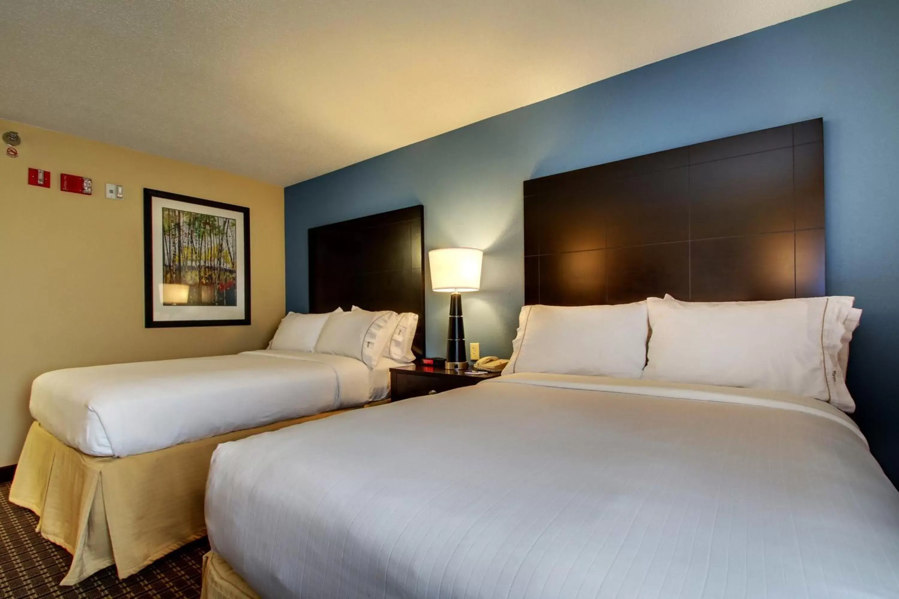 Photo of the whole room, Bed in Holiday Inn Express Hotel Fort Campbell-Oak Grove, an IHG Hotel