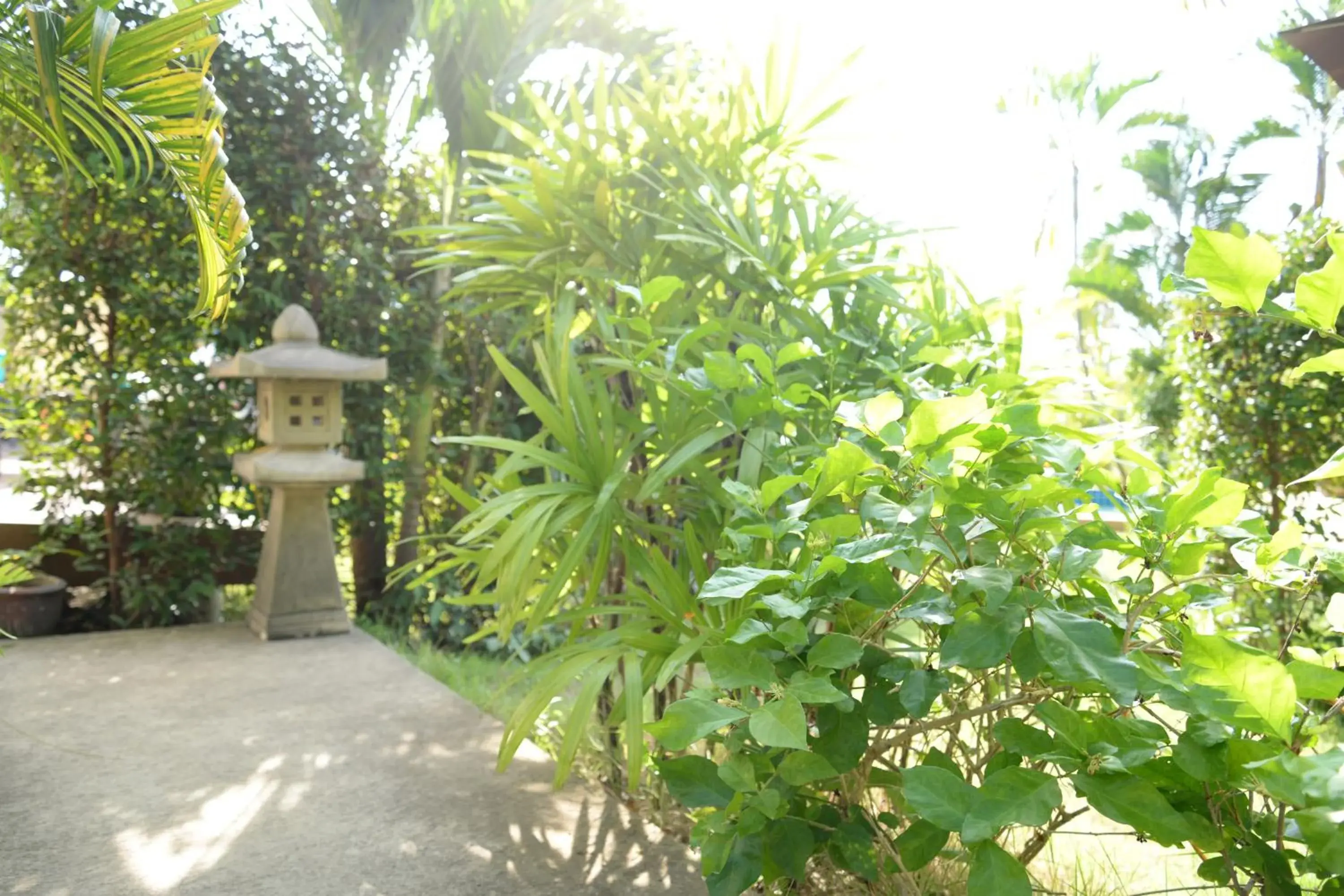 Balcony/Terrace, Garden in Bangsaray Villa