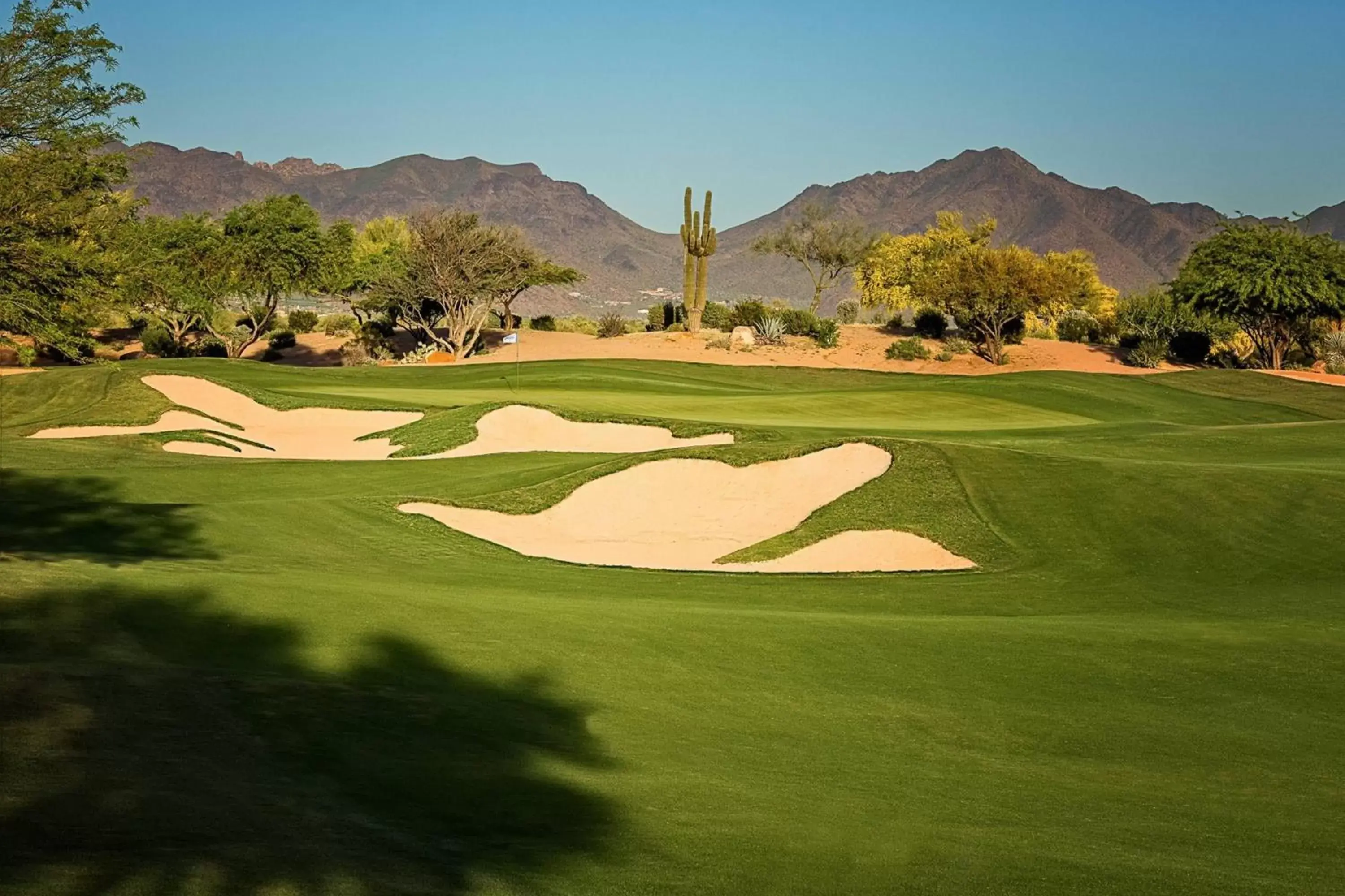 Golfcourse, Golf in Scottsdale Marriott at McDowell Mountains