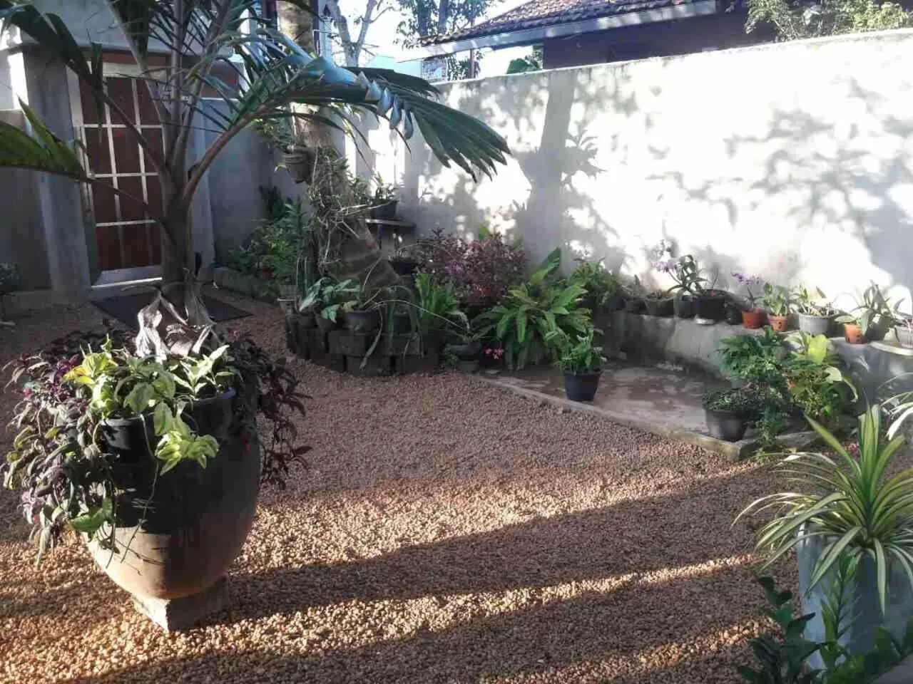 Garden in Dedunu Home Bentota