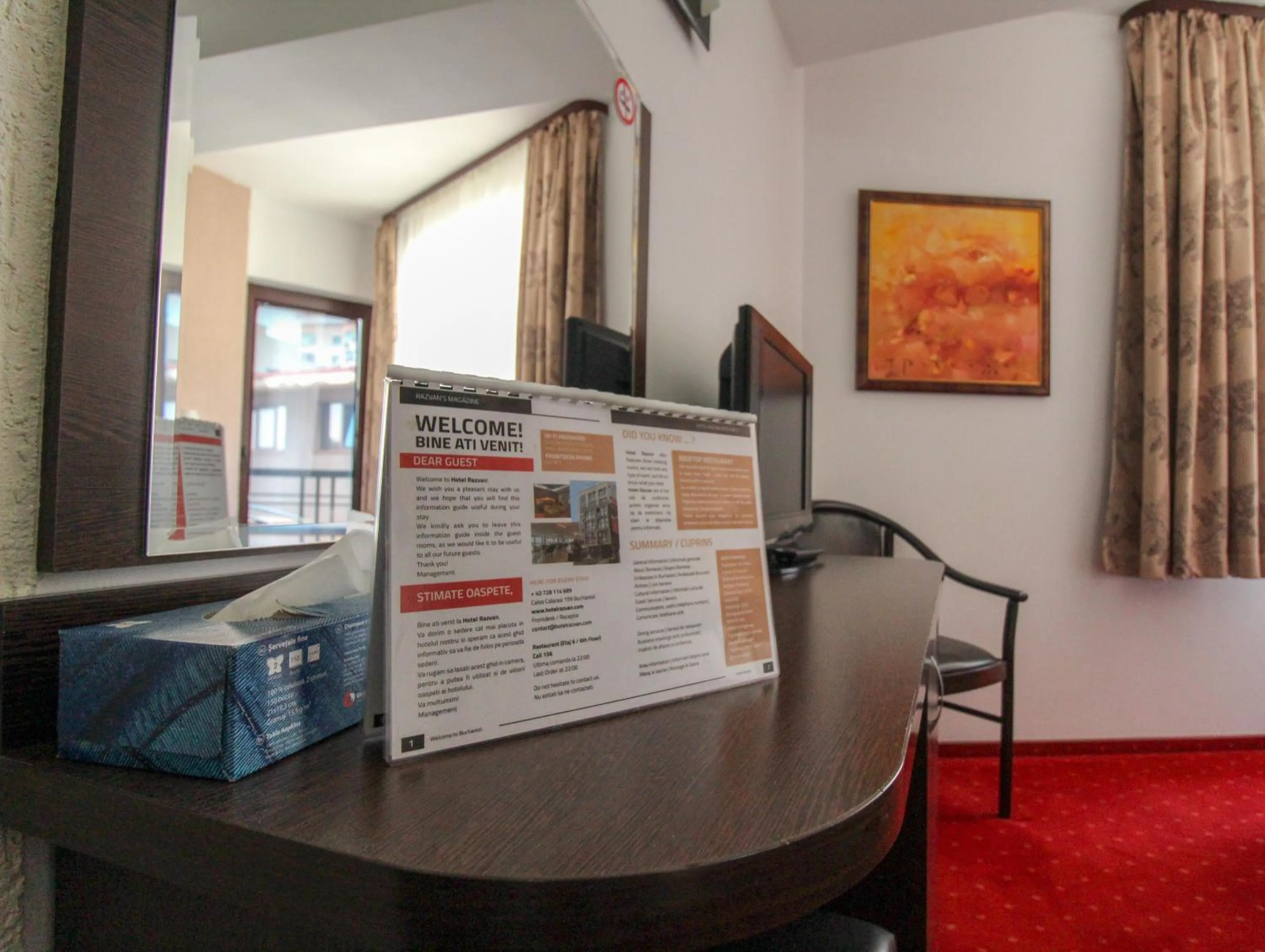 Business facilities in Hotel Razvan