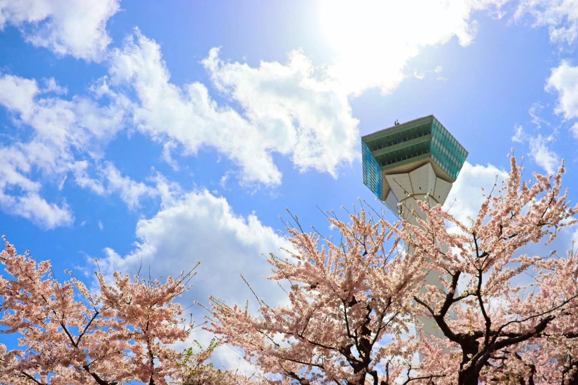 Nearby landmark in Tokyu Stay Hakodate Asaichi Akarinoyu