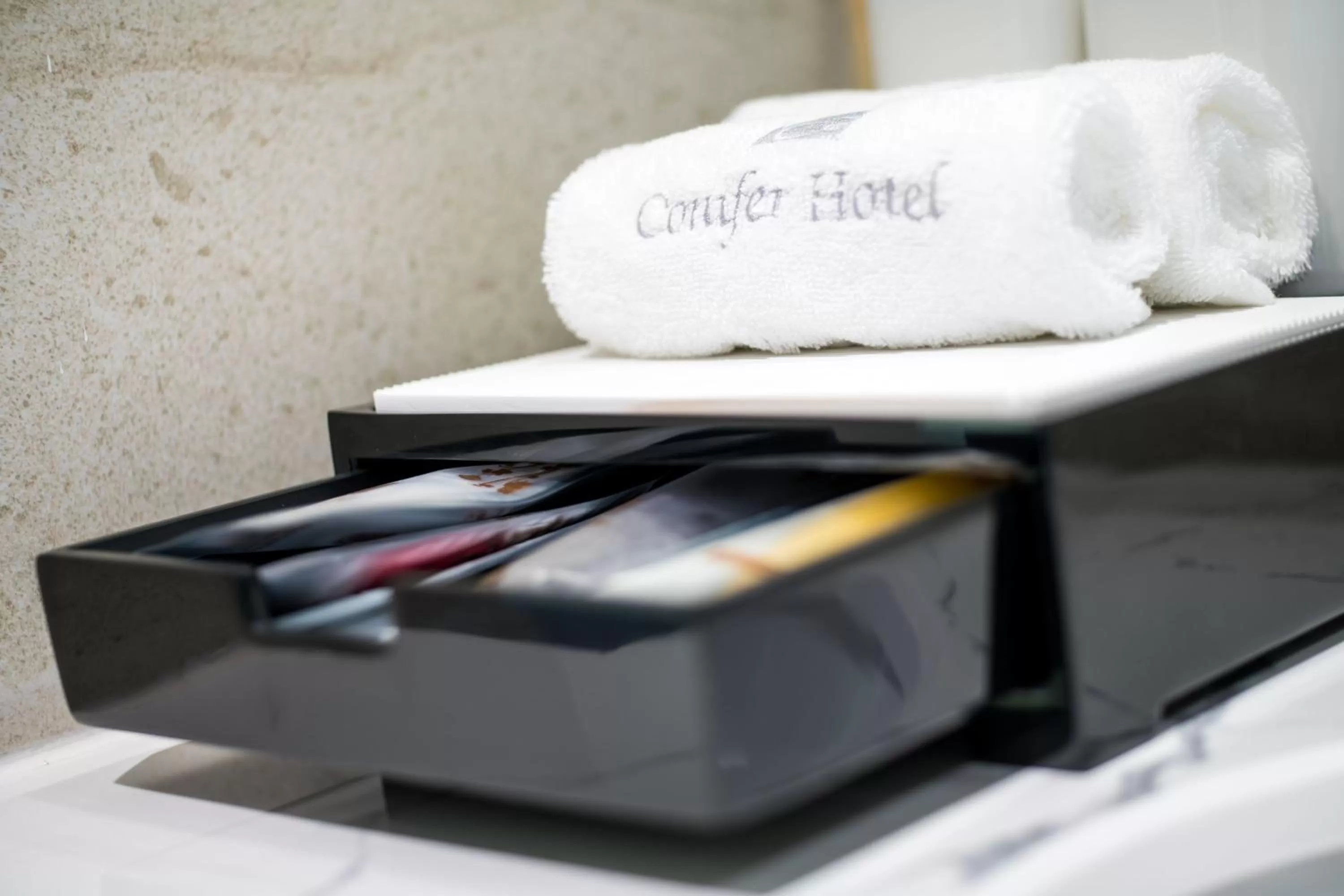 Area and facilities in Conifer Grand Hotel