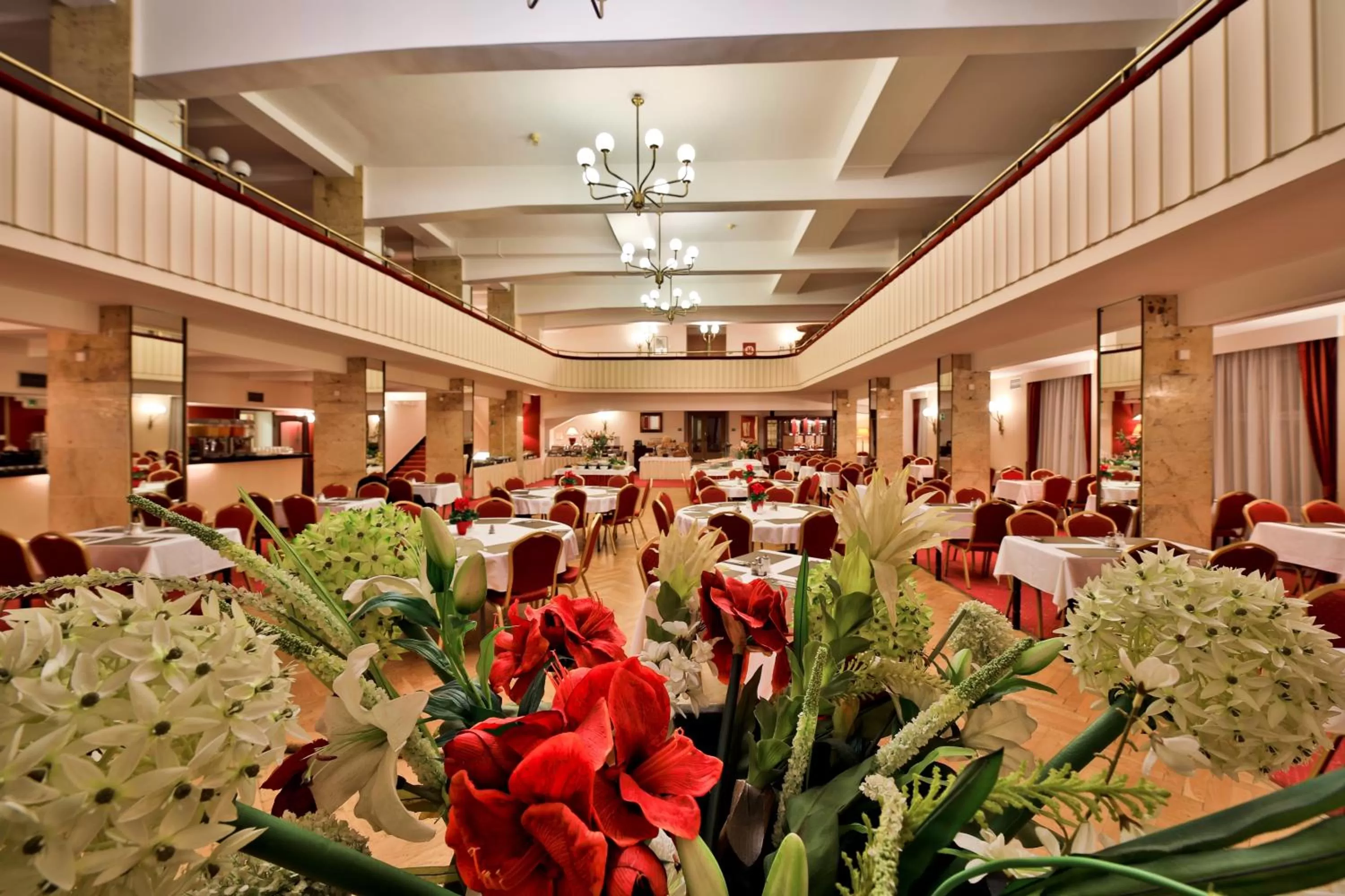 Restaurant/places to eat in Belvedere