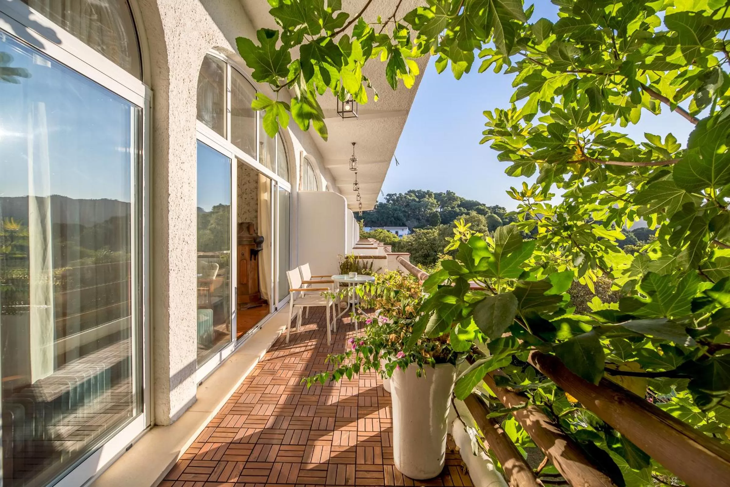Garden view in Mesón de Sancho