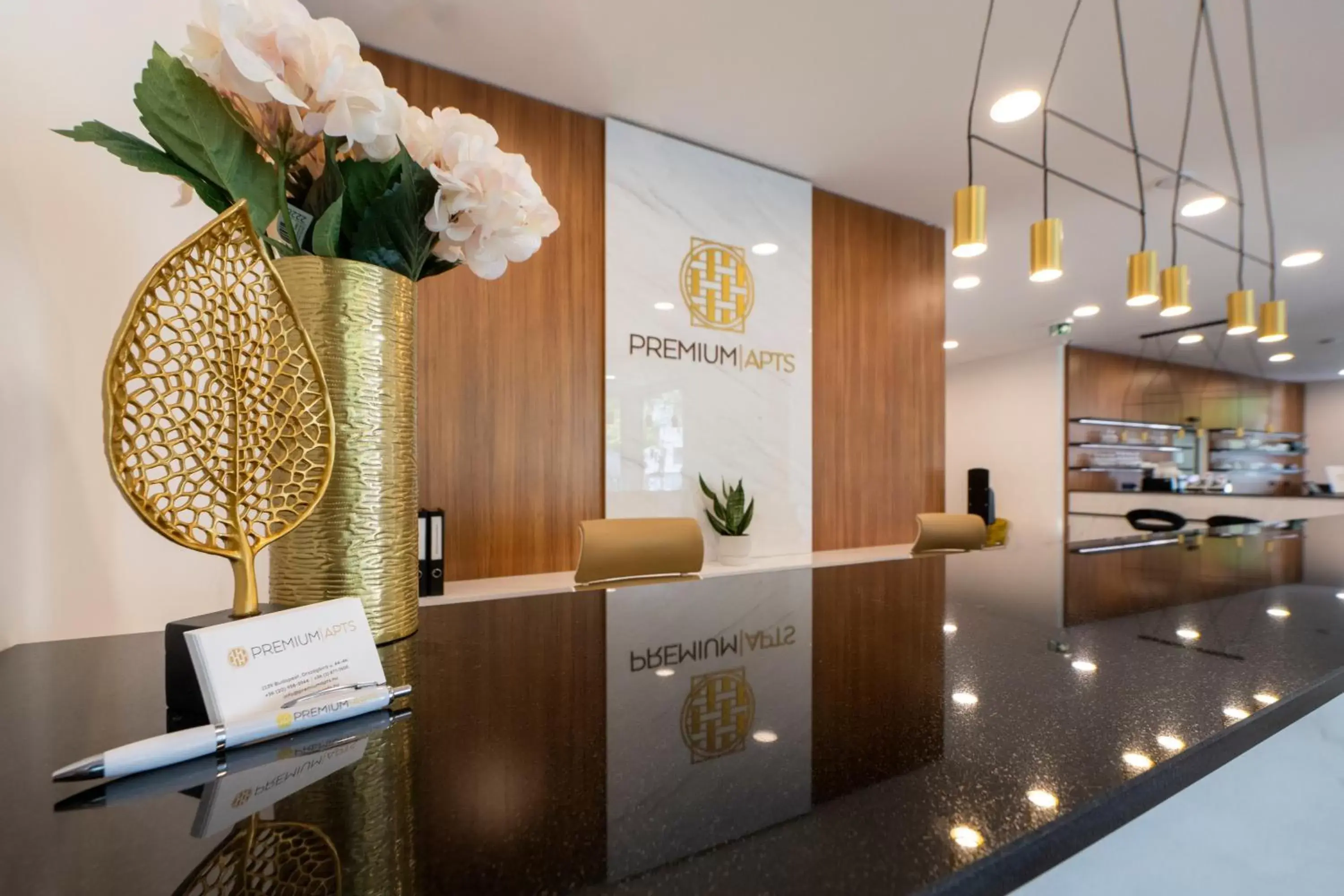 Lobby or reception, Lobby/Reception in Premium Apartments