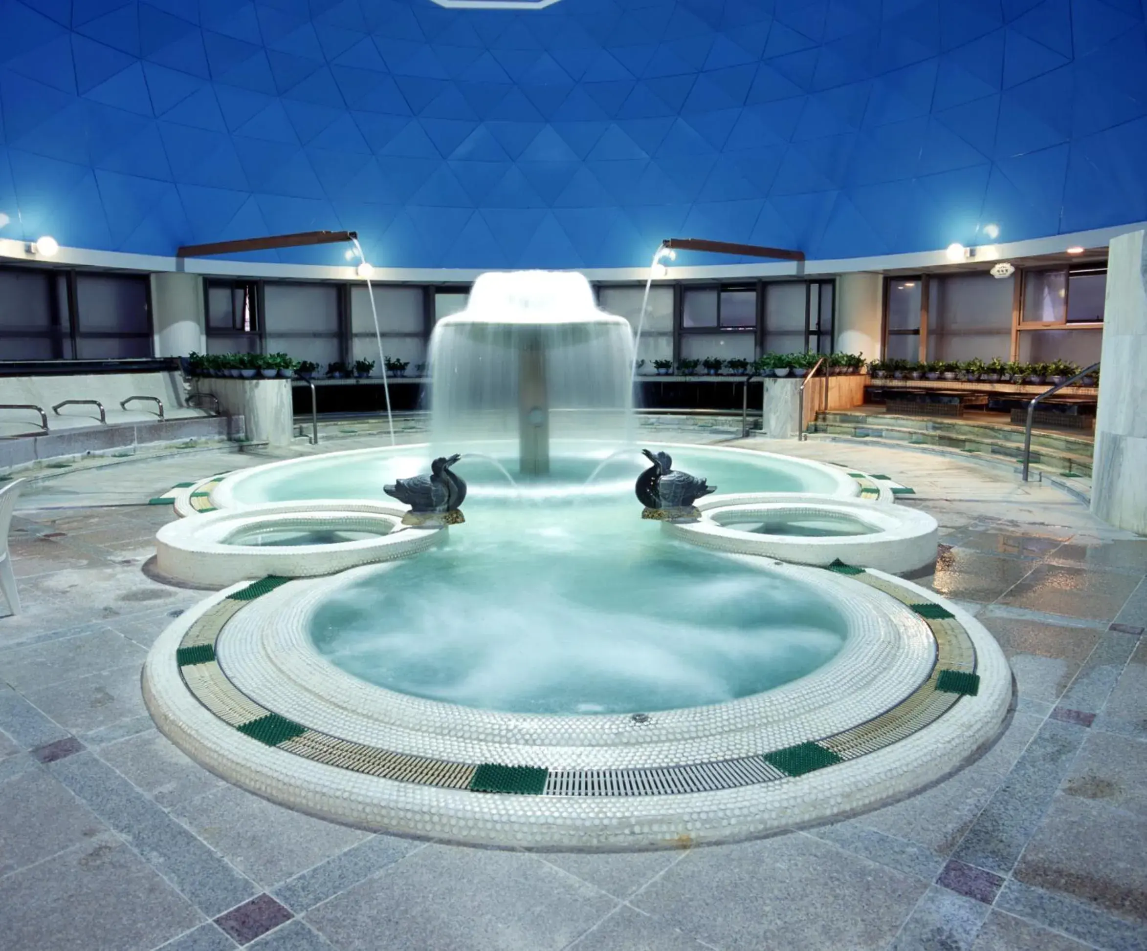 Hot Spring Bath, Swimming Pool in Nongshim Hotel