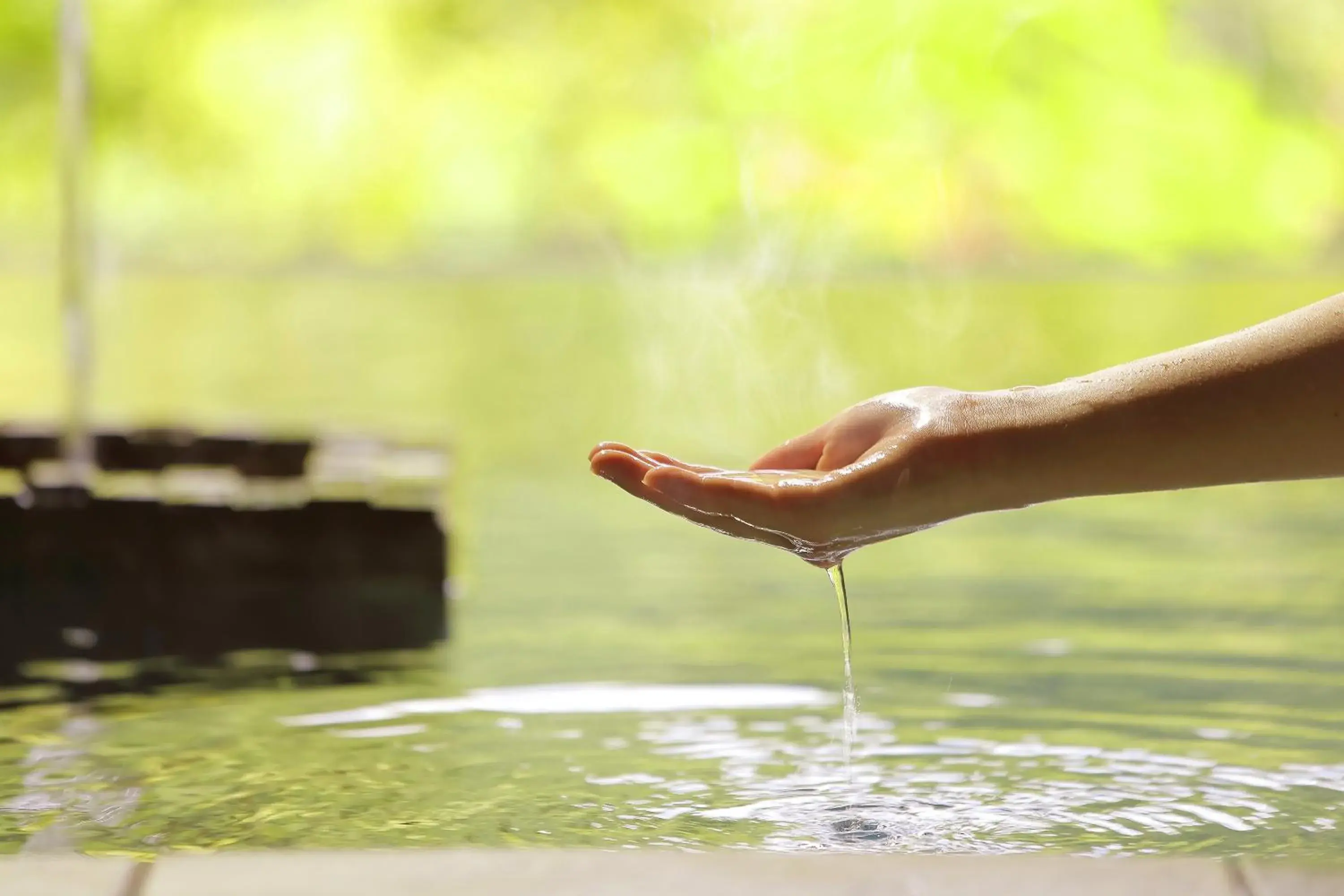 Hot Spring Bath, Other Animals in Hotel Ryu Resort and Spa