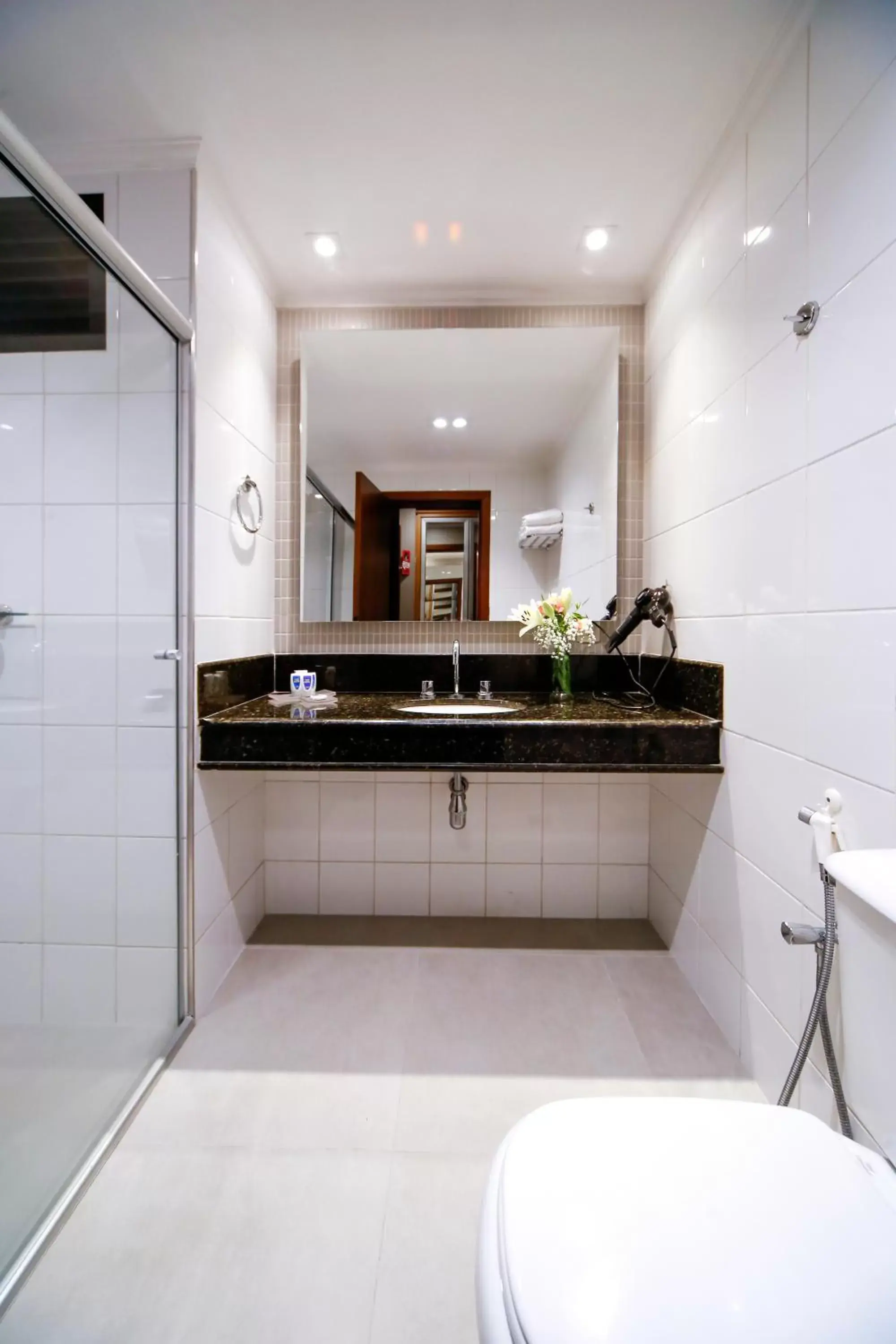 Shower, Kitchen/Kitchenette in Grand Hotel Royal Sorocaba by Atlantica