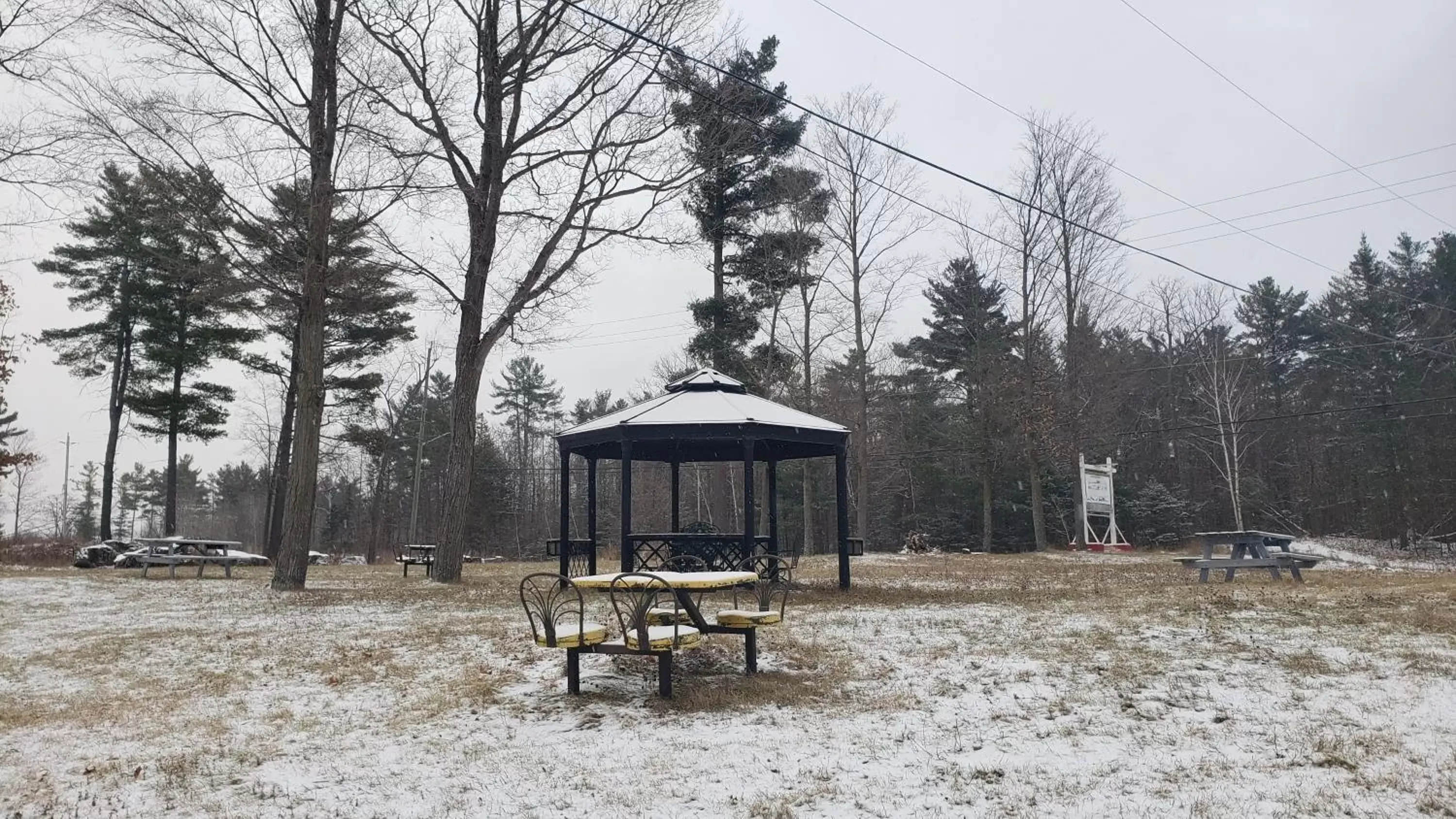 Garden, Winter in Calabogie Motor Inn