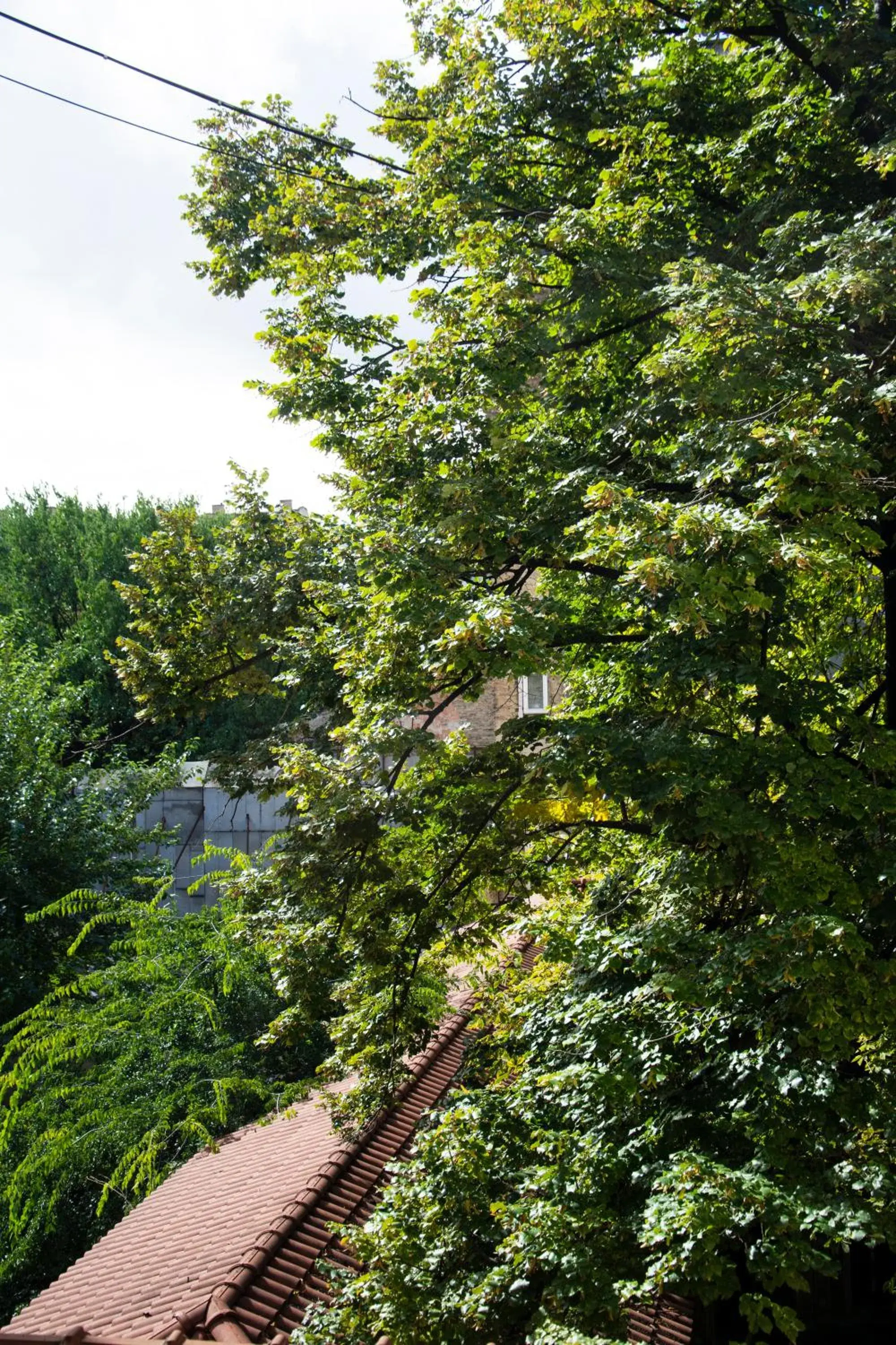 Natural landscape in Gartner Hotel