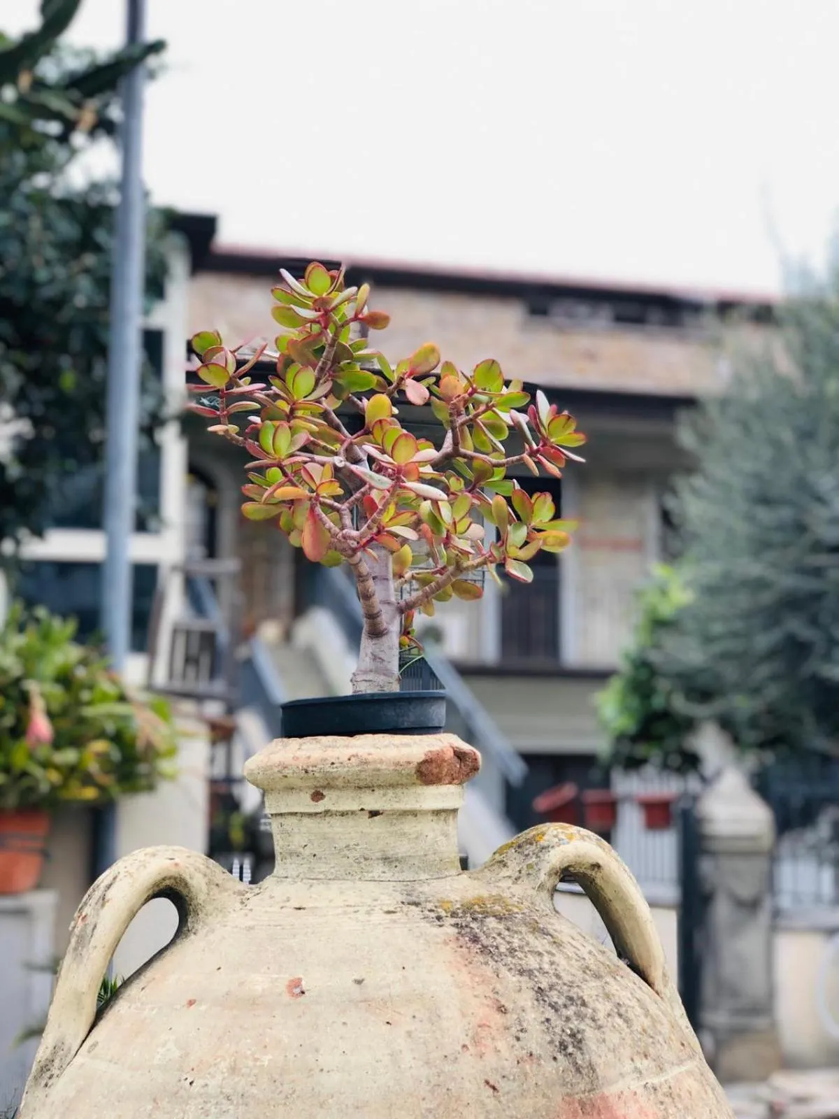 Property building in Santa Lucia