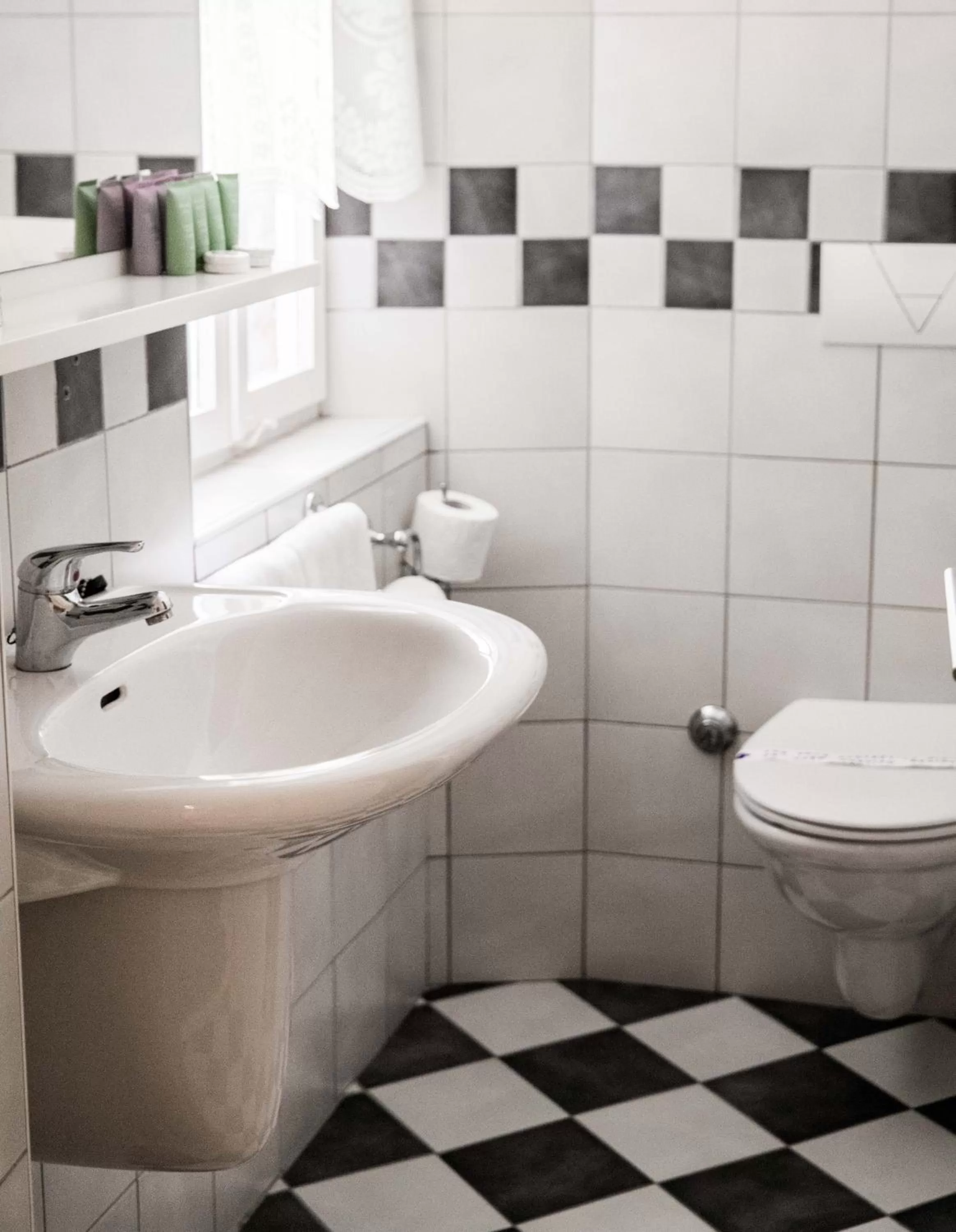 Toilet in Slavija Culture Heritage Hotel