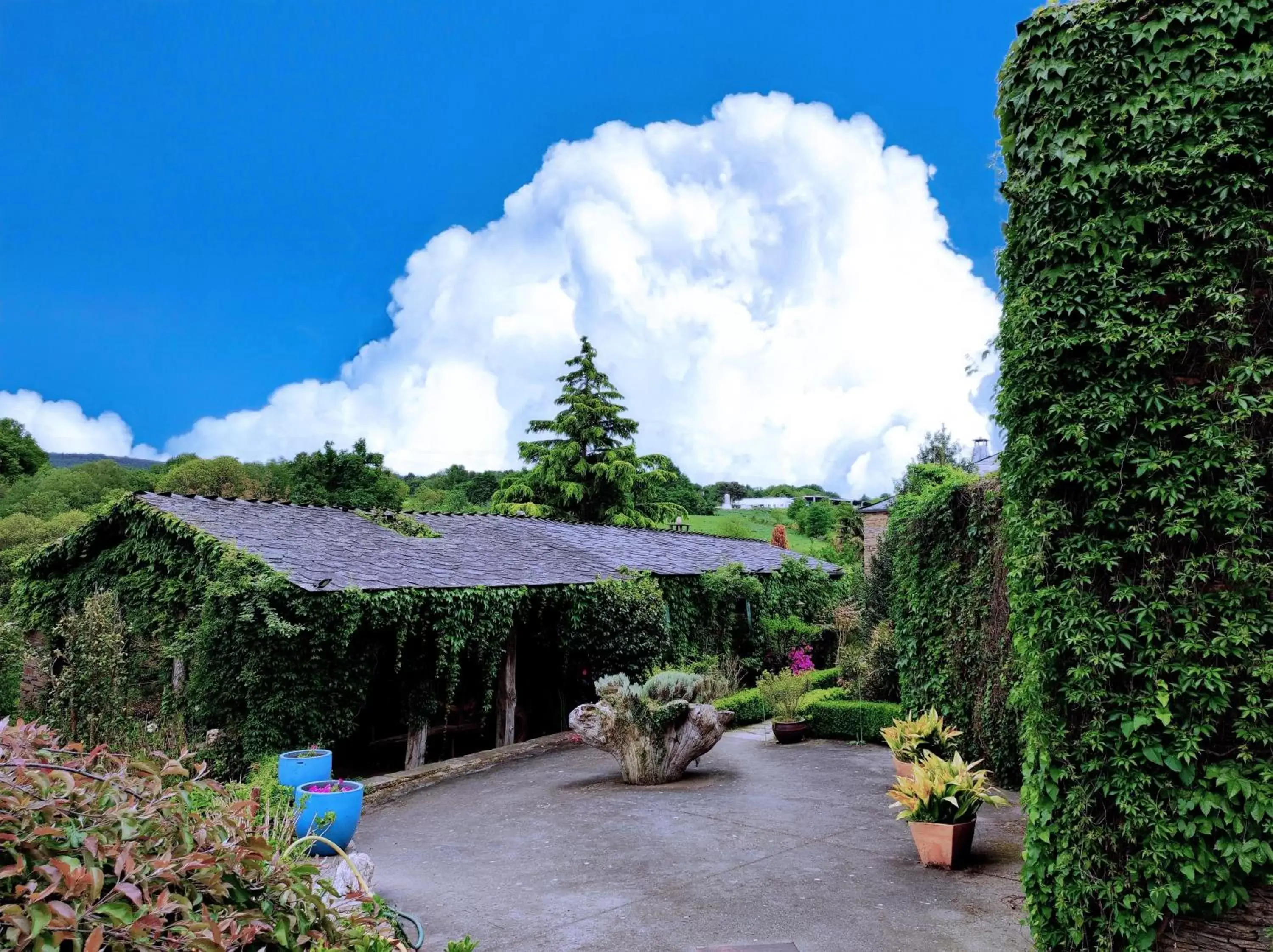 Garden view in Hotel Casa de Díaz