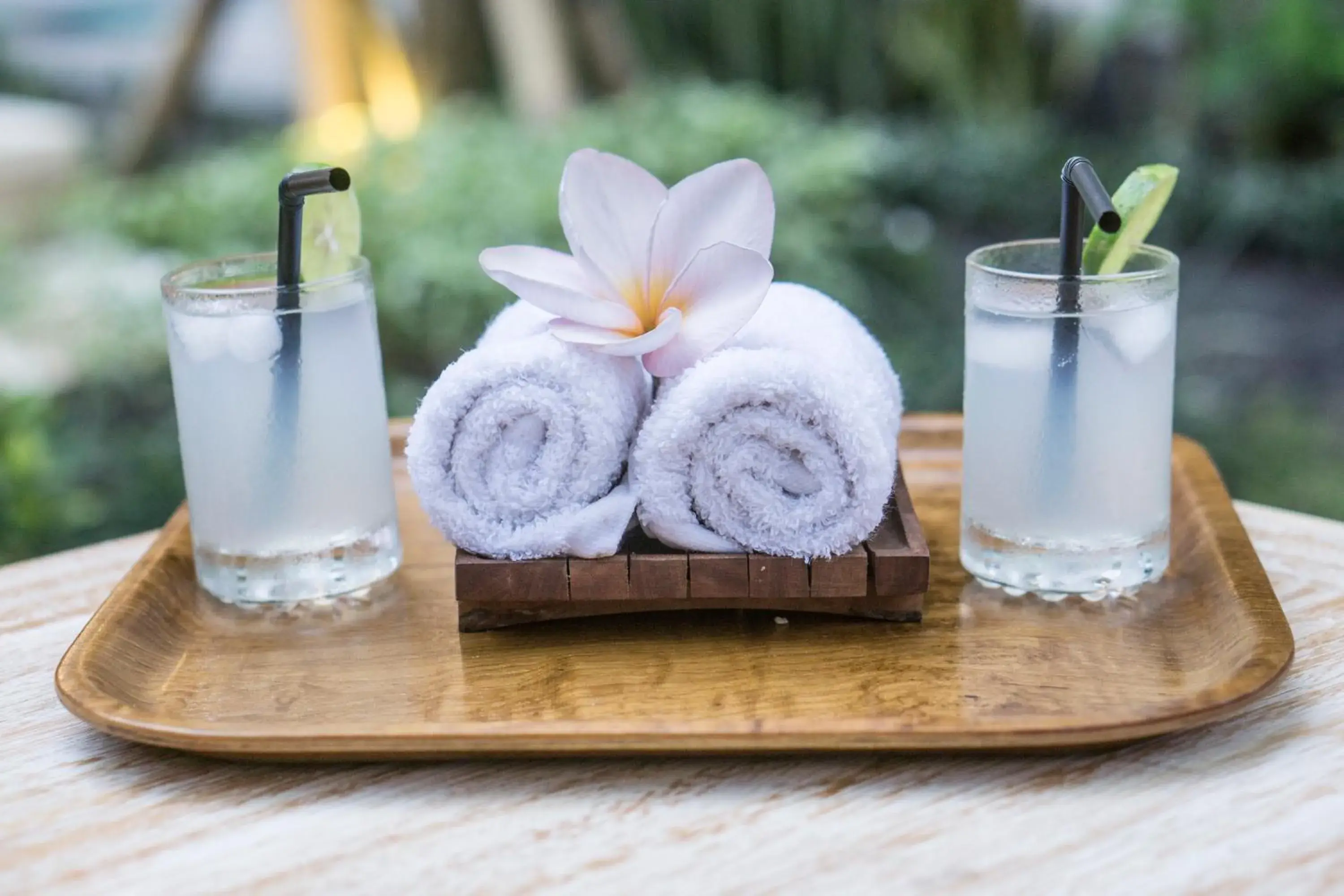 Non alcoholic drinks in Ubud Tropical Garden