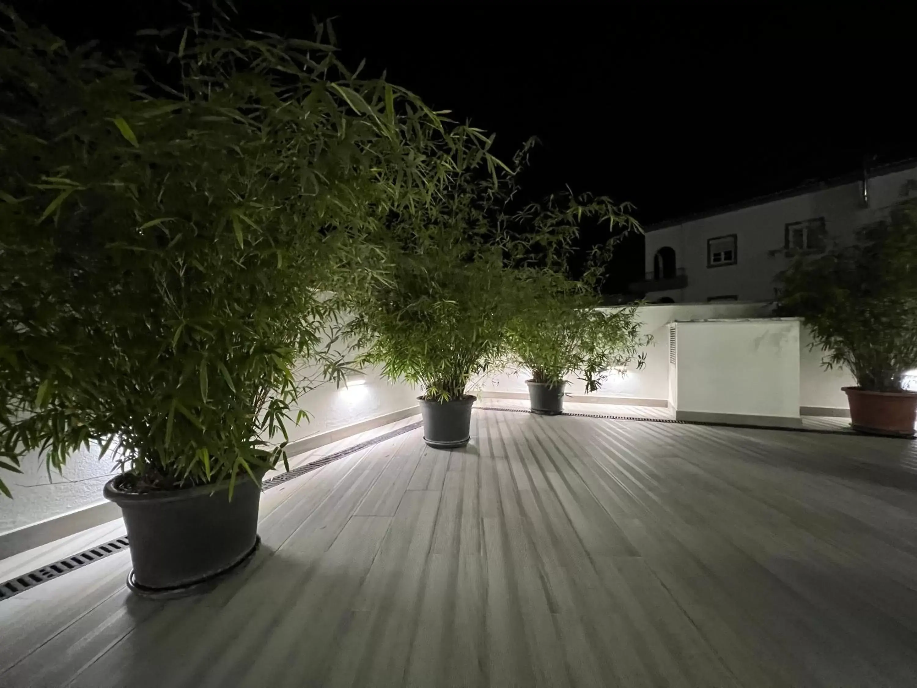 Garden in Hotel Búzio