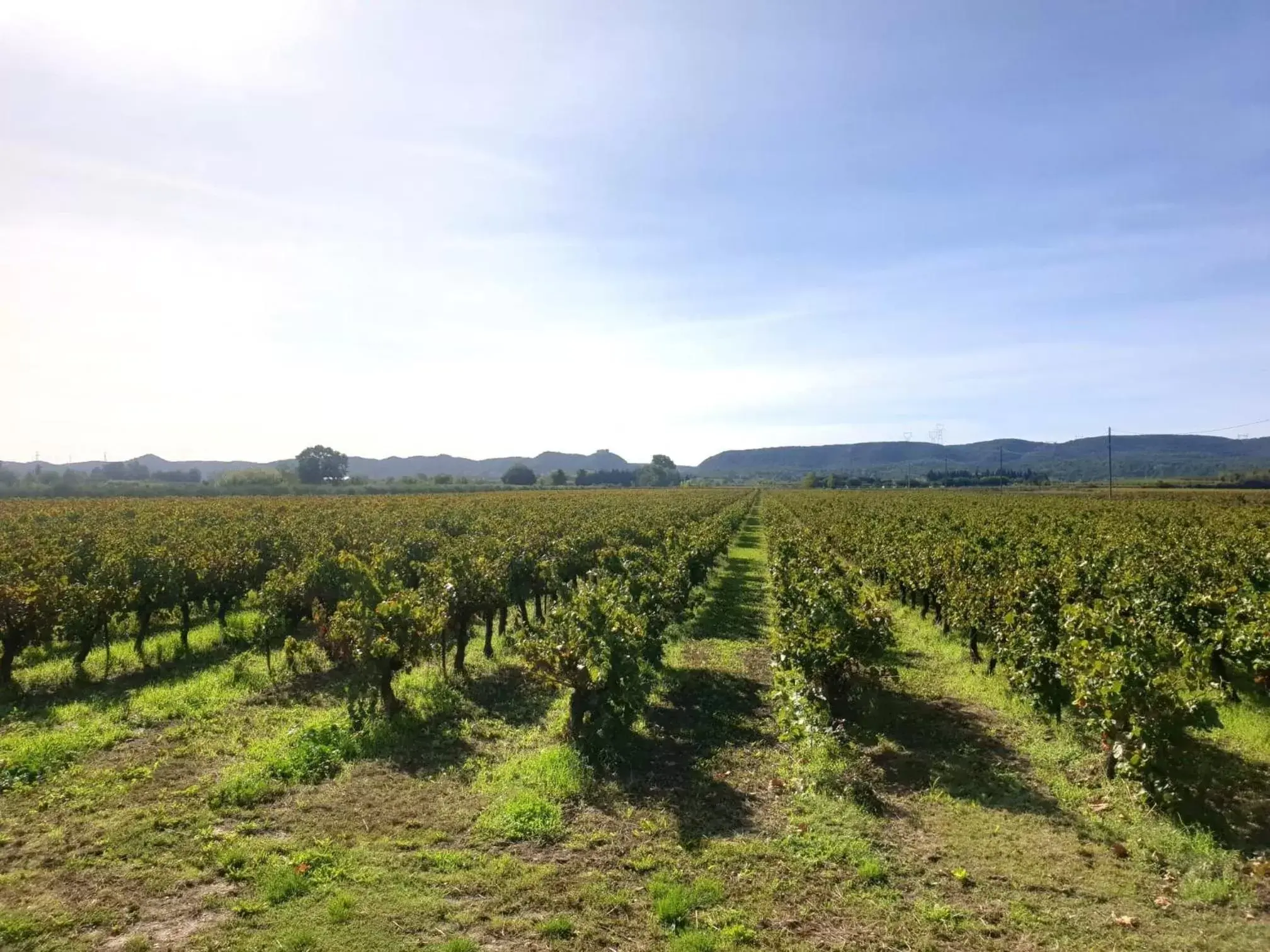 View (from property/room) in Domaine de Sévanes