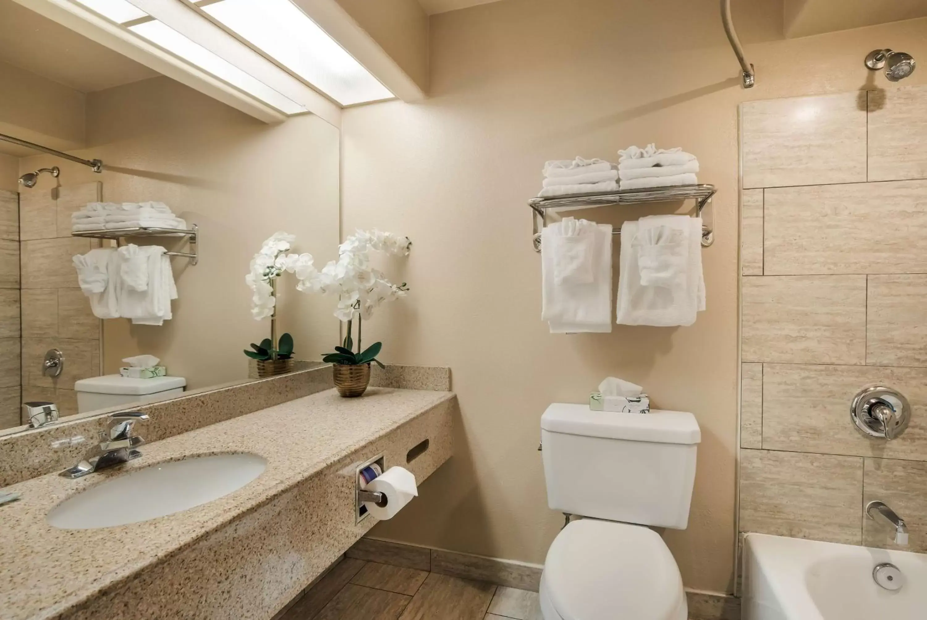 Bathroom in Best Western Escondido Hotel