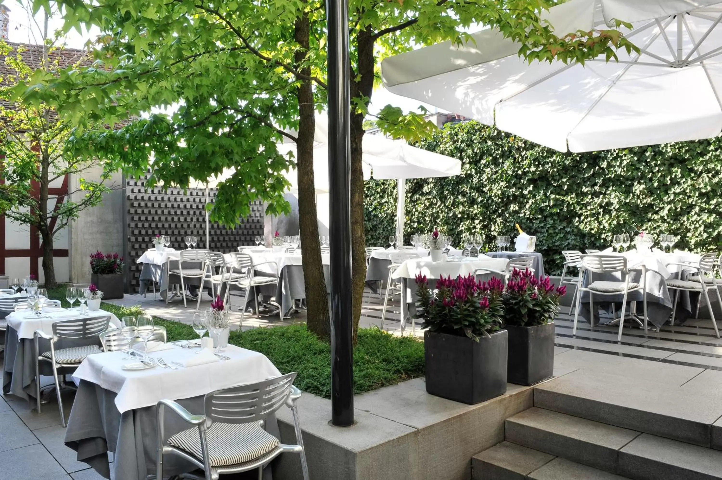 Restaurant/Places to Eat in Widder Hotel - Zurichs luxury hideaway