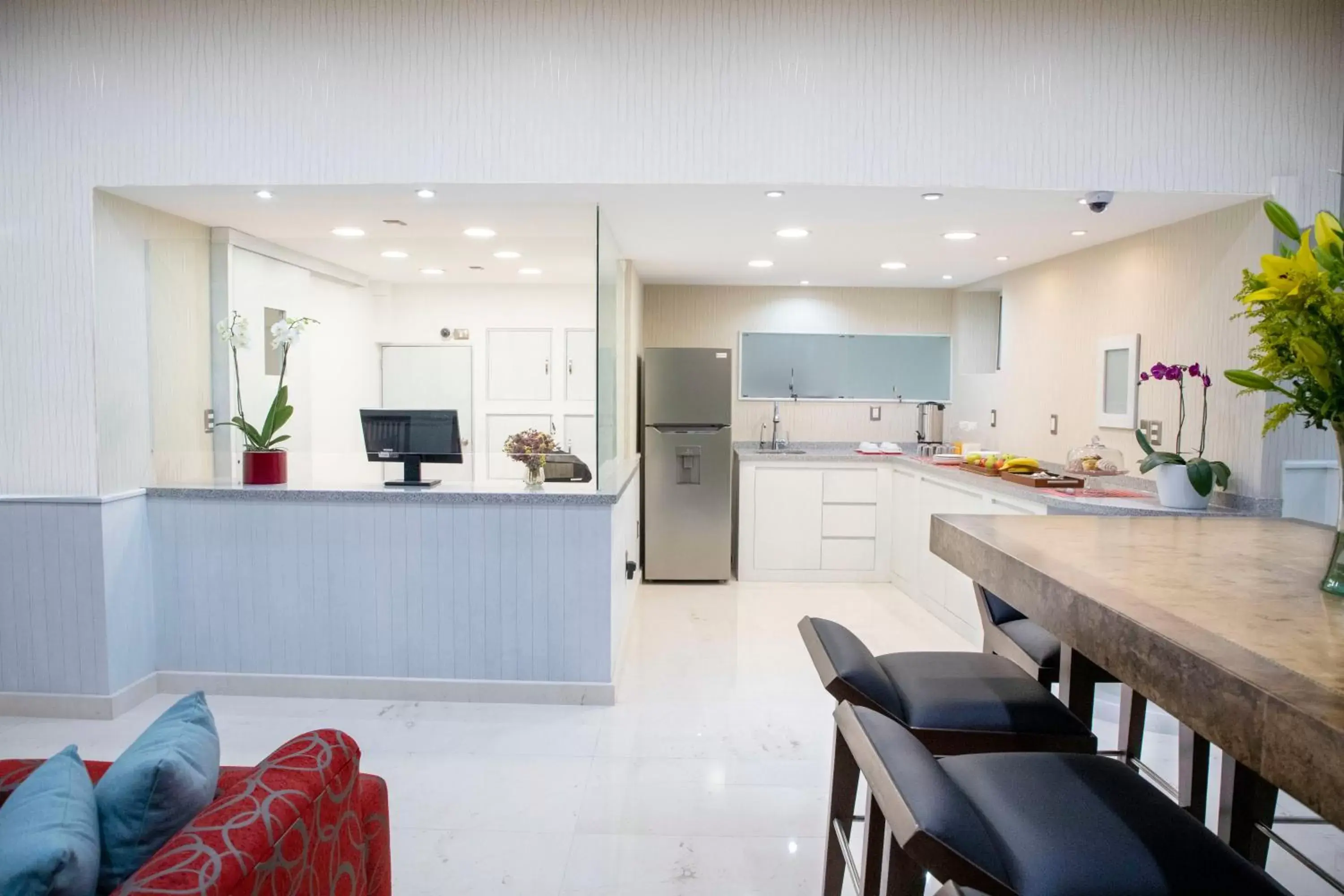 Communal kitchen, Kitchen/Kitchenette in Suites Coben Apartamentos Amueblados