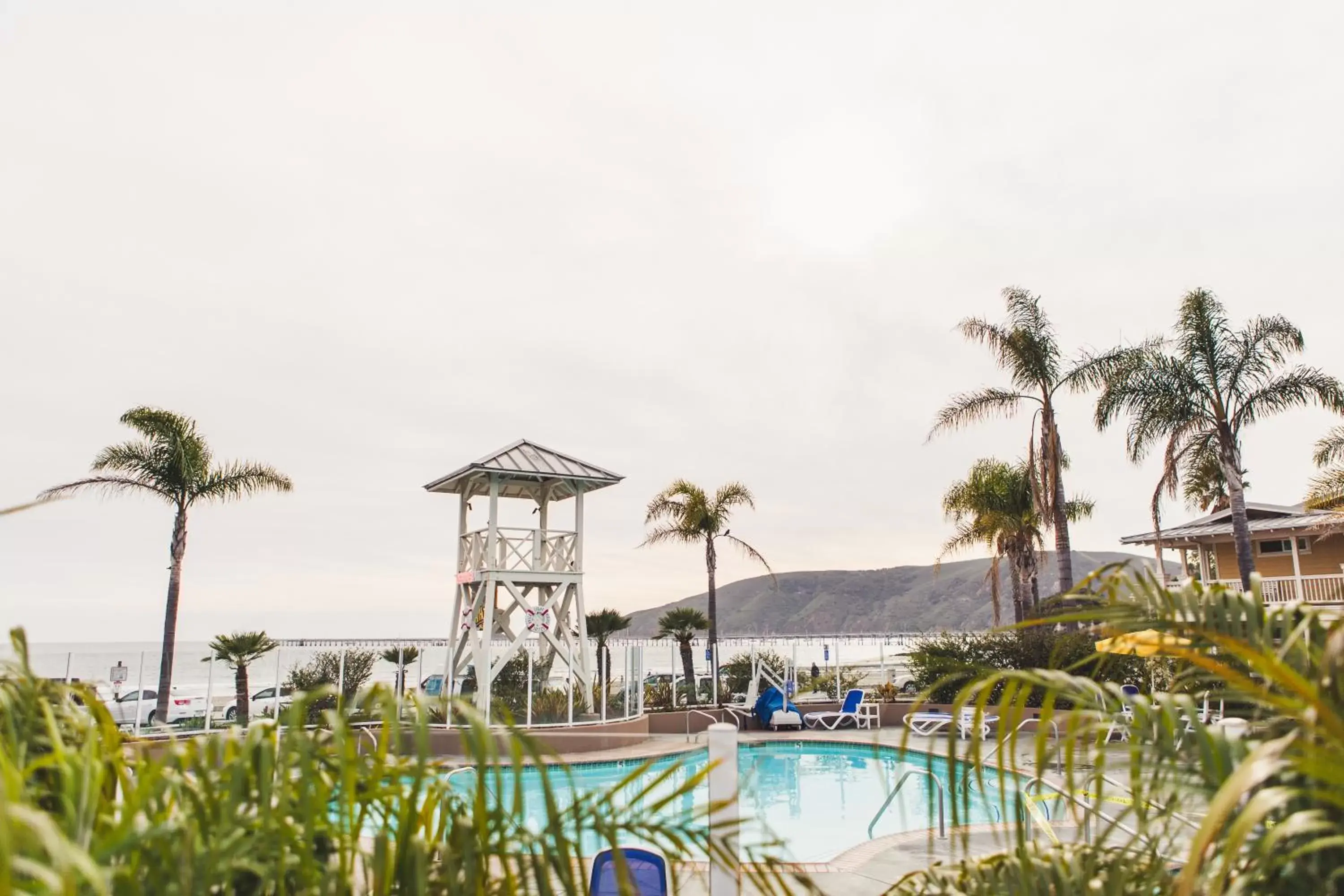 Beach, Swimming Pool in Avila Lighthouse Suites