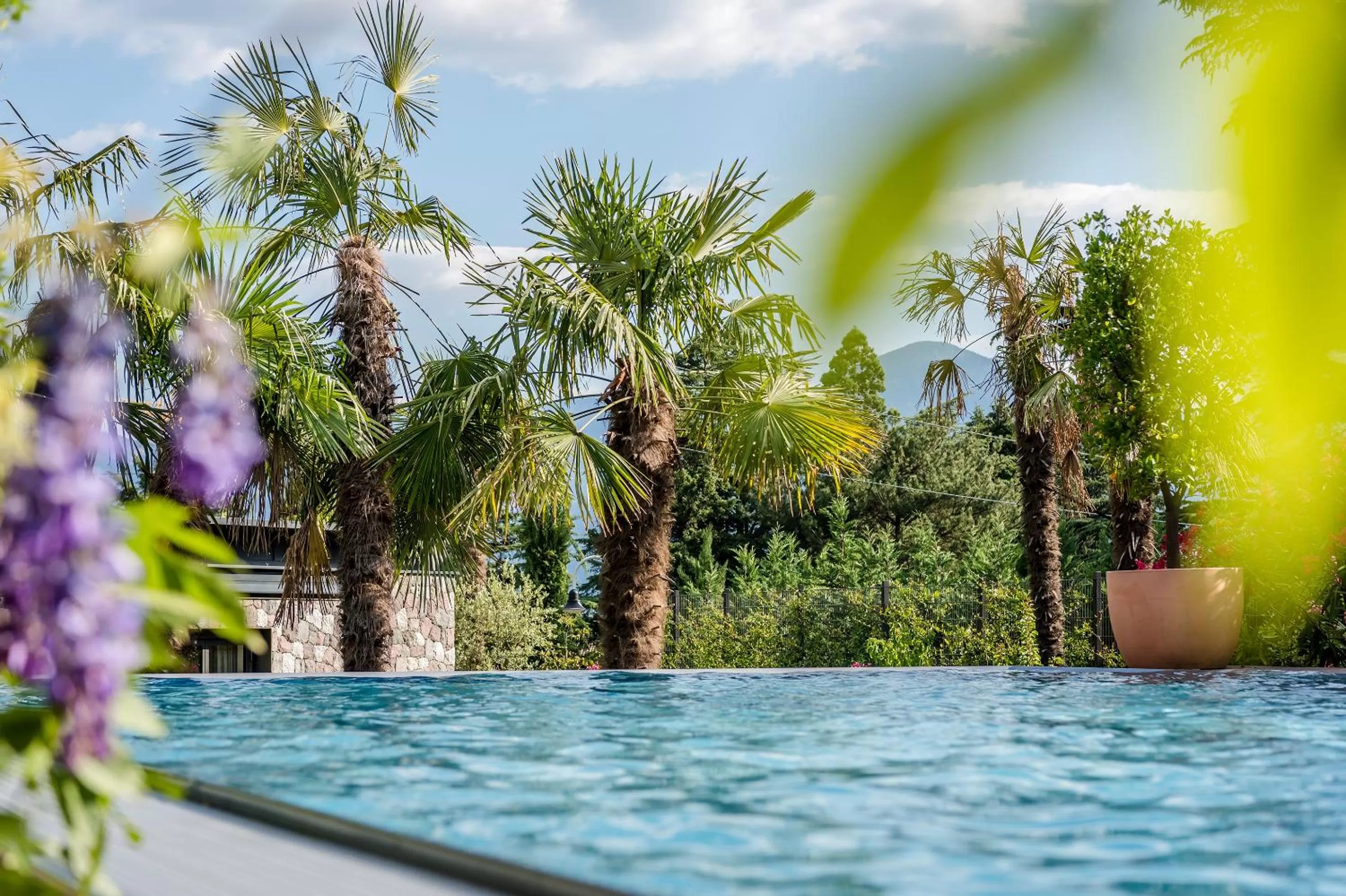 Garden in Hotel Ansitz Plantiz