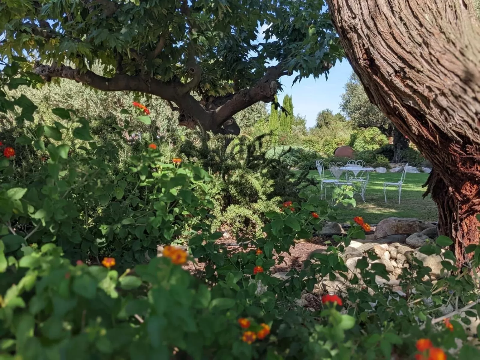 Garden in MAS TRAMONTANE chambres d'hôtes avec parc arboré & piscine