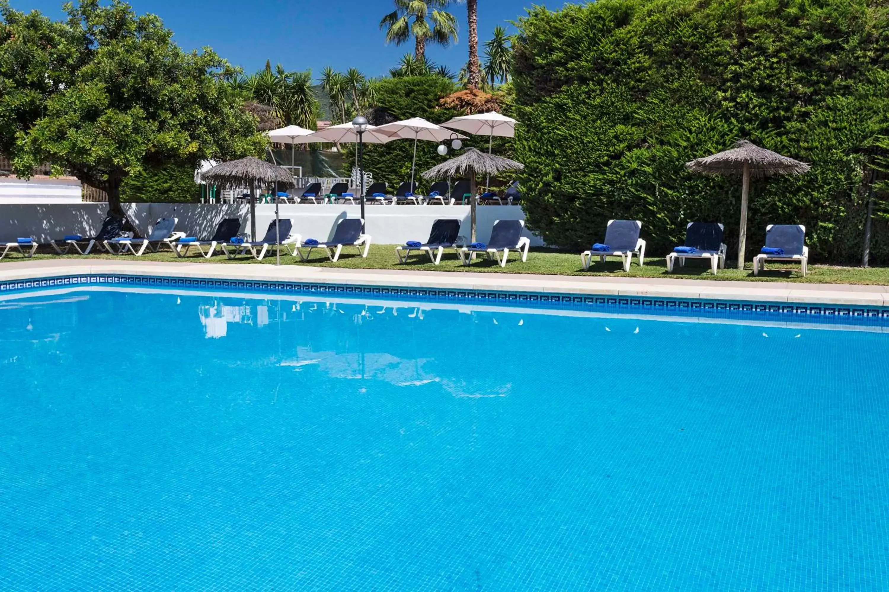 Swimming pool in Exe Las Adelfas Swimming pool in Exe Las Adelfas