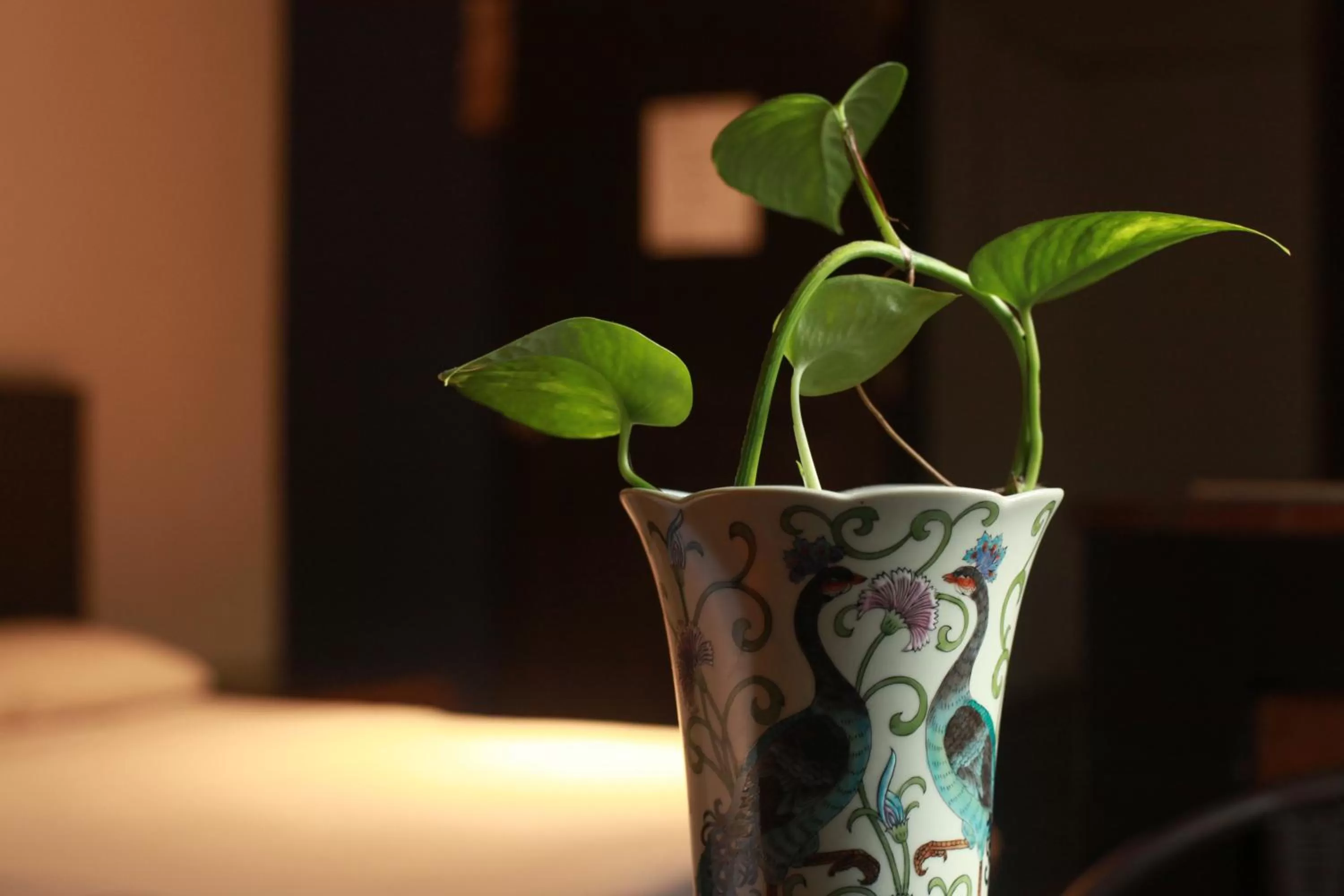 Bea rooms and studios