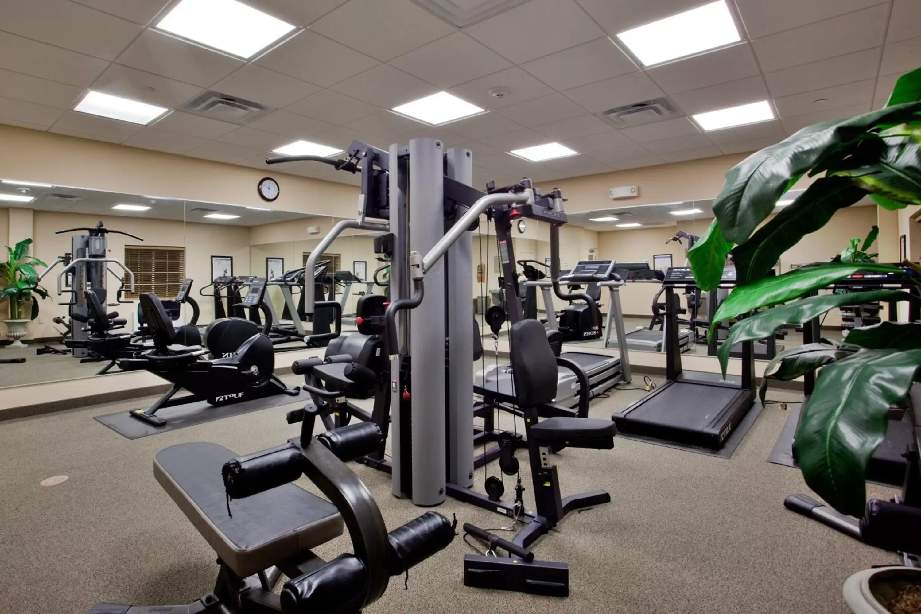 Fitness centre/facilities, Fitness Center/Facilities in Candlewood Suites Norfolk Airport, an IHG Hotel