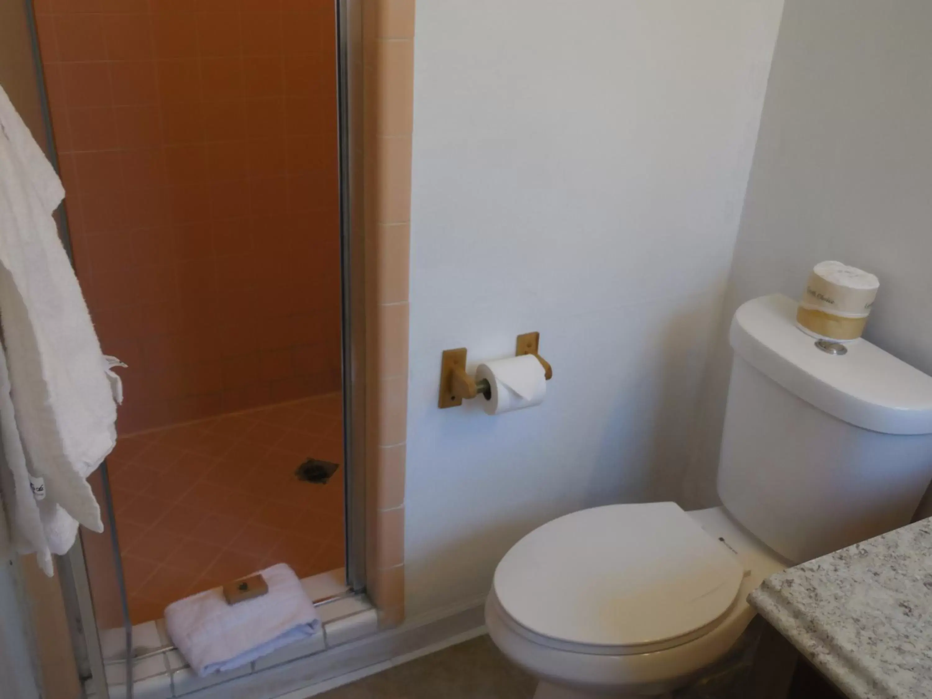 Toilet, Bathroom in Hi-Way Host Motel