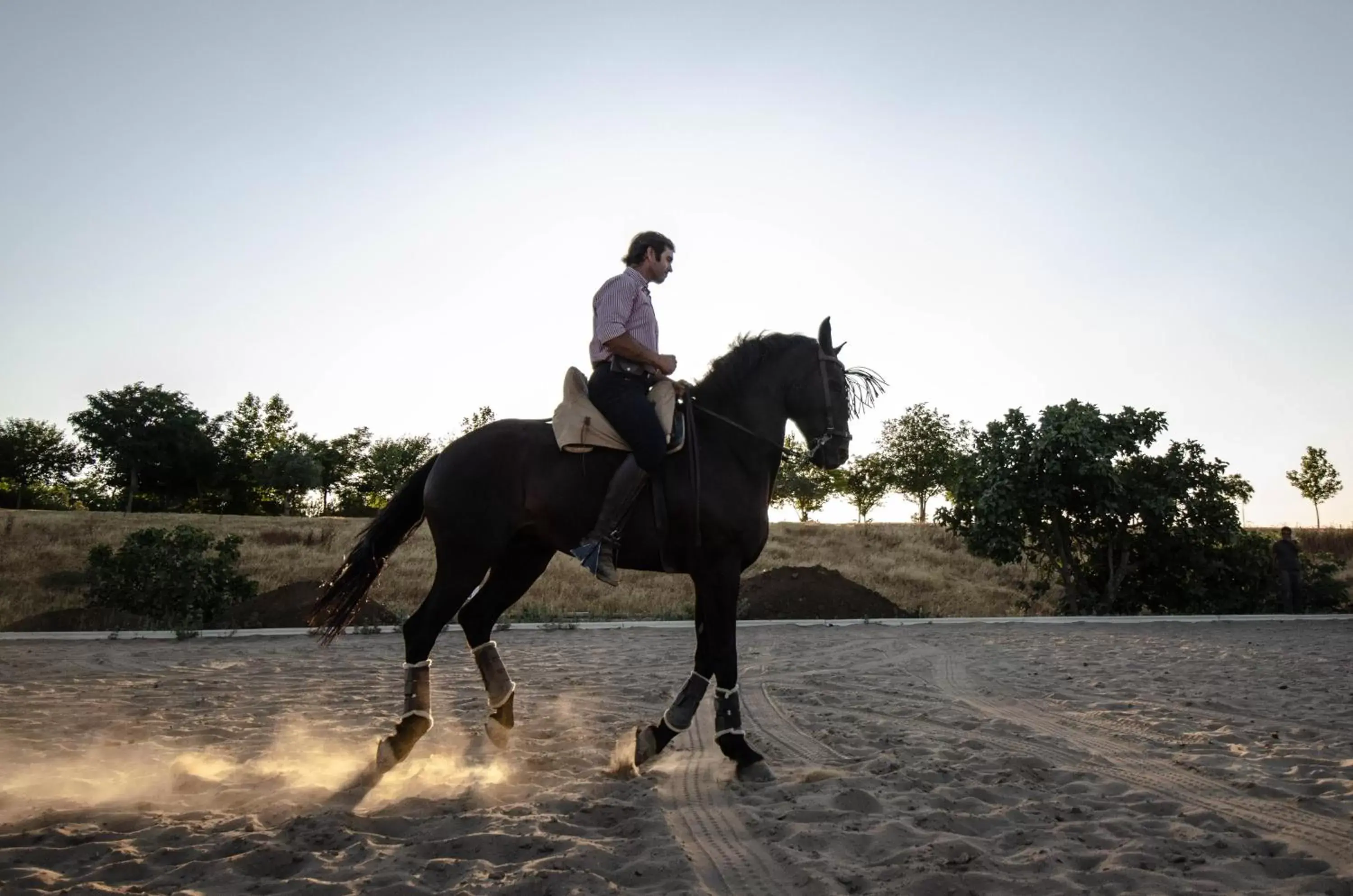 Activities, Horseback Riding in La Dehesa de Don Pedro