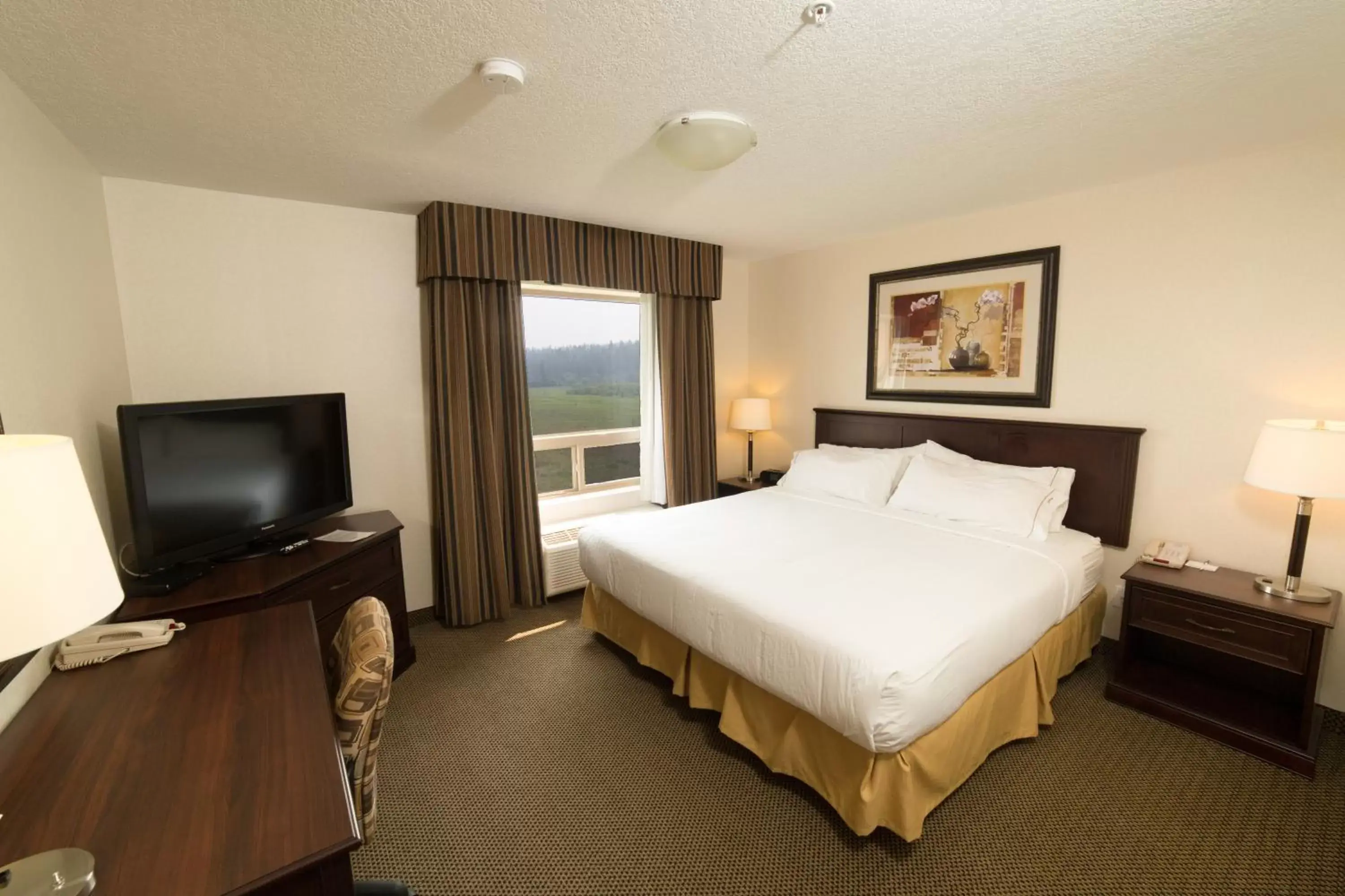 Bedroom in Holiday Inn Express & Suites Whitecourt, an IHG Hotel