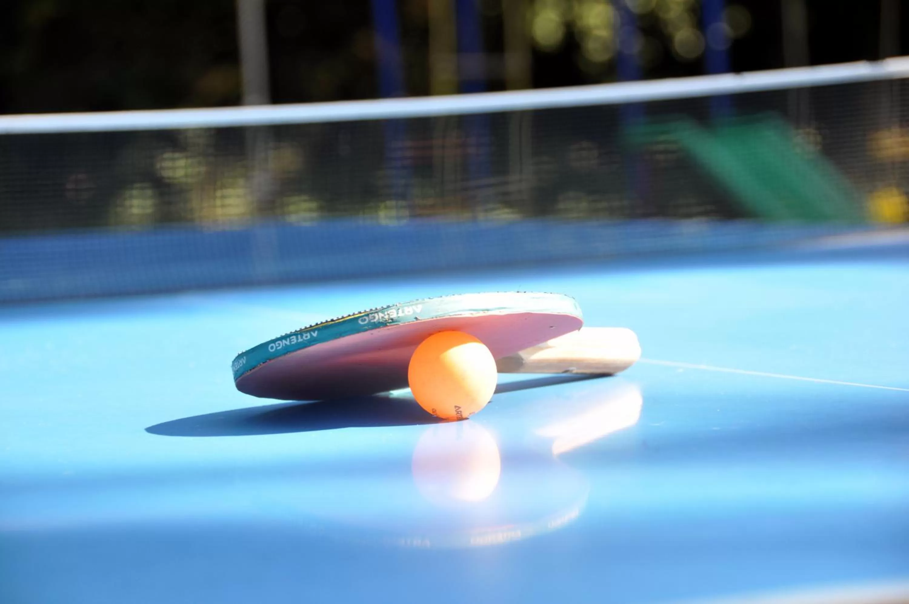 Table tennis in Chambres d'Hotes Domaine des Machottes