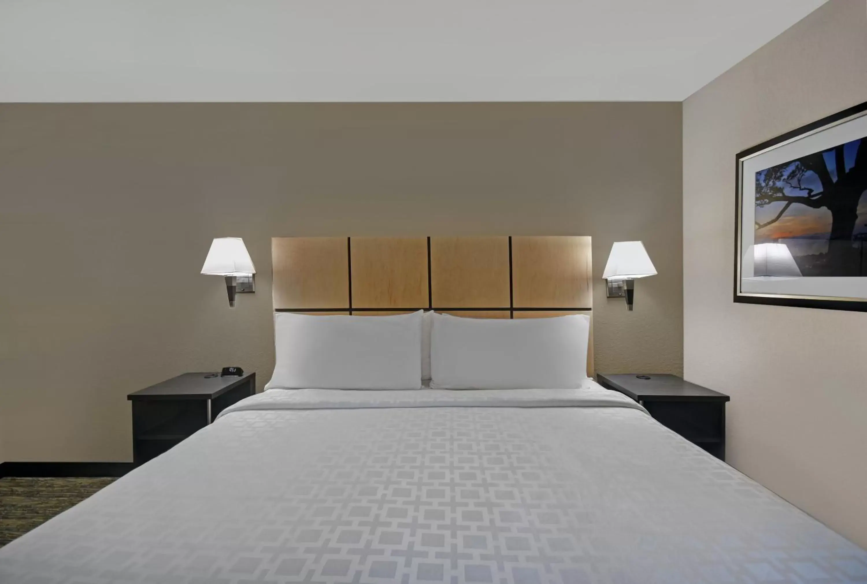 King Studio - Non-Smoking in Candlewood Suites Sumter by IHG King Studio - Non-Smoking in Candlewood Suites Sumter by IHG