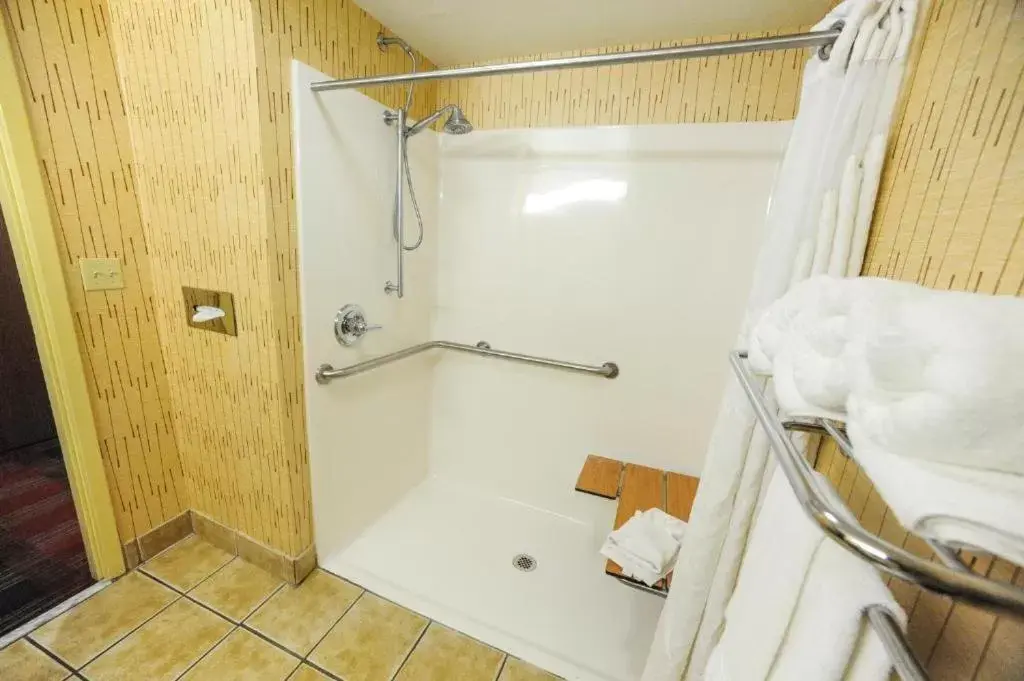Bathroom in Holiday Inn Express Hotel & Suites Bowling Green, an IHG Hotel