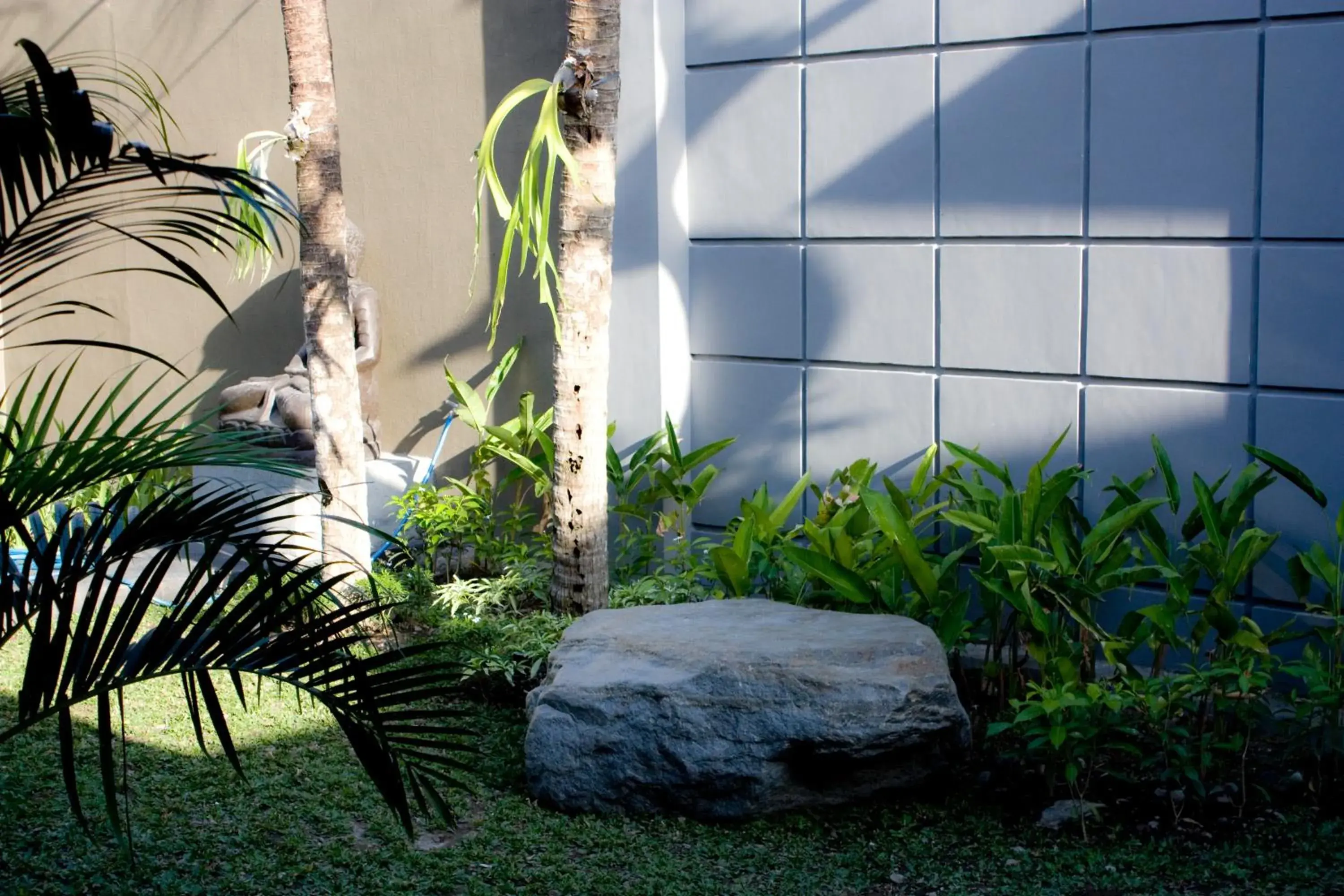 Garden in Grand Marto Hotel