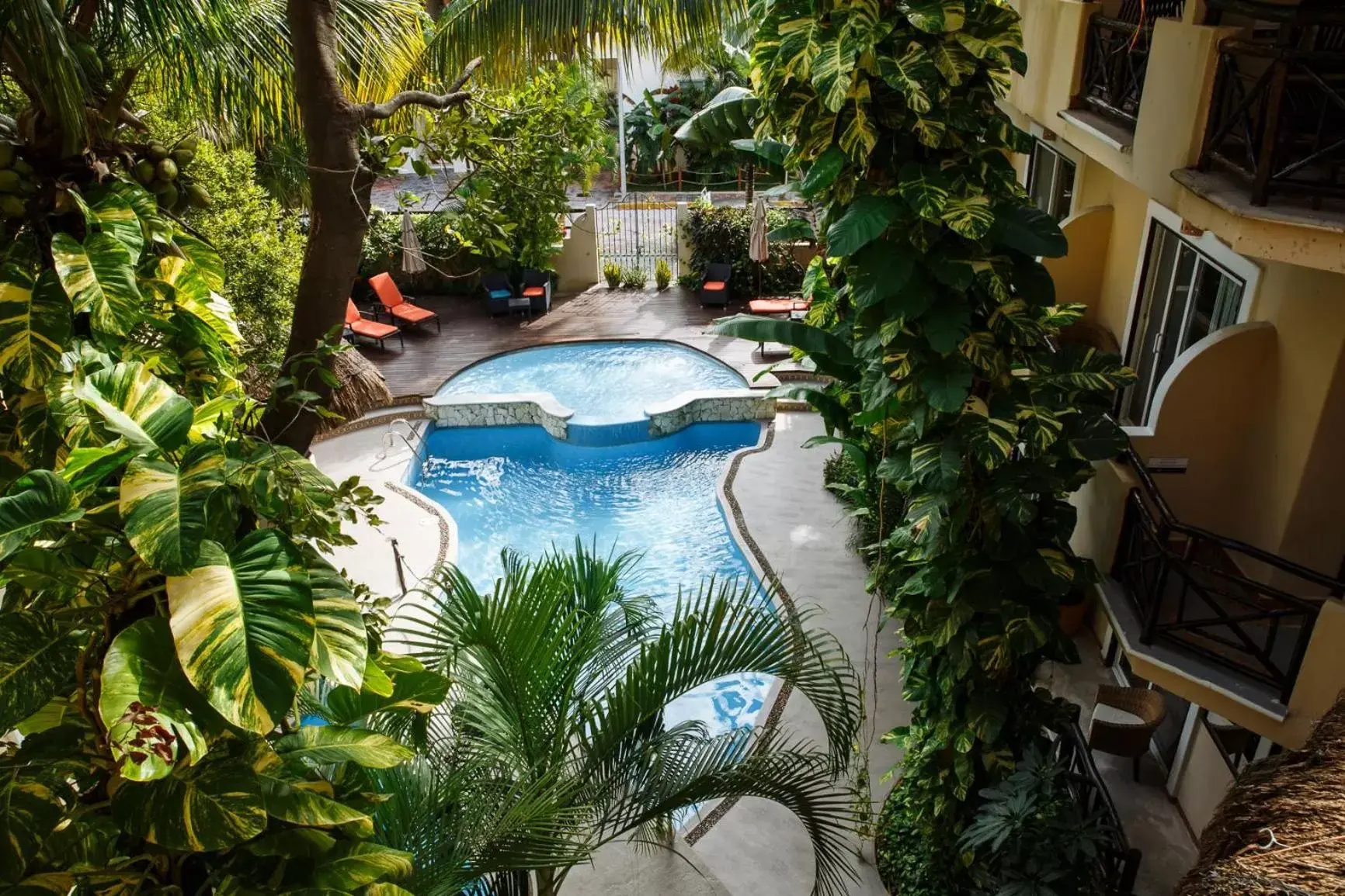 Swimming pool, Pool View in Hotel Riviera Del Sol